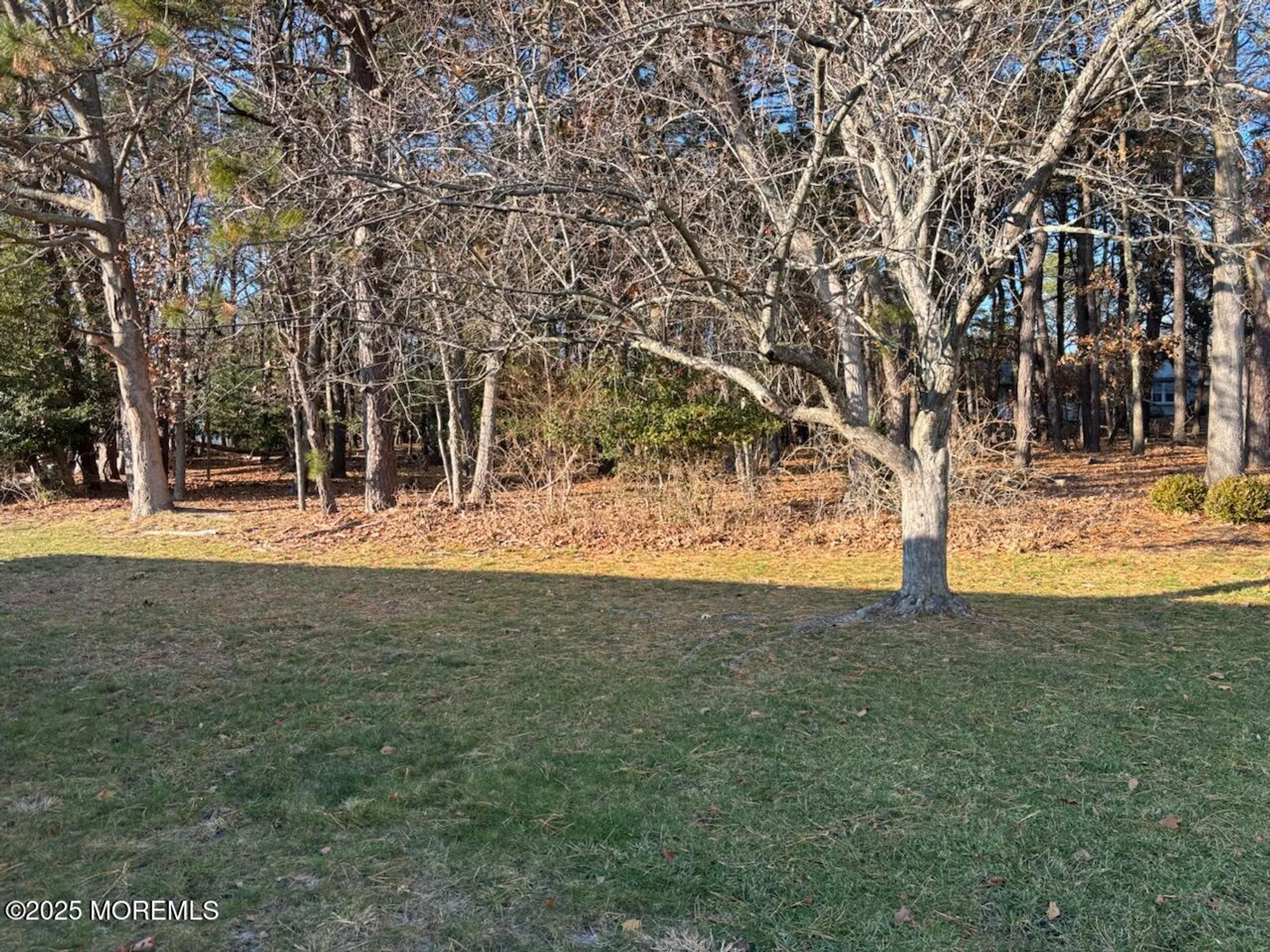 Property Slideshow image 6 of 30 | 32 constitution blvd, Whiting, NJ, 08759