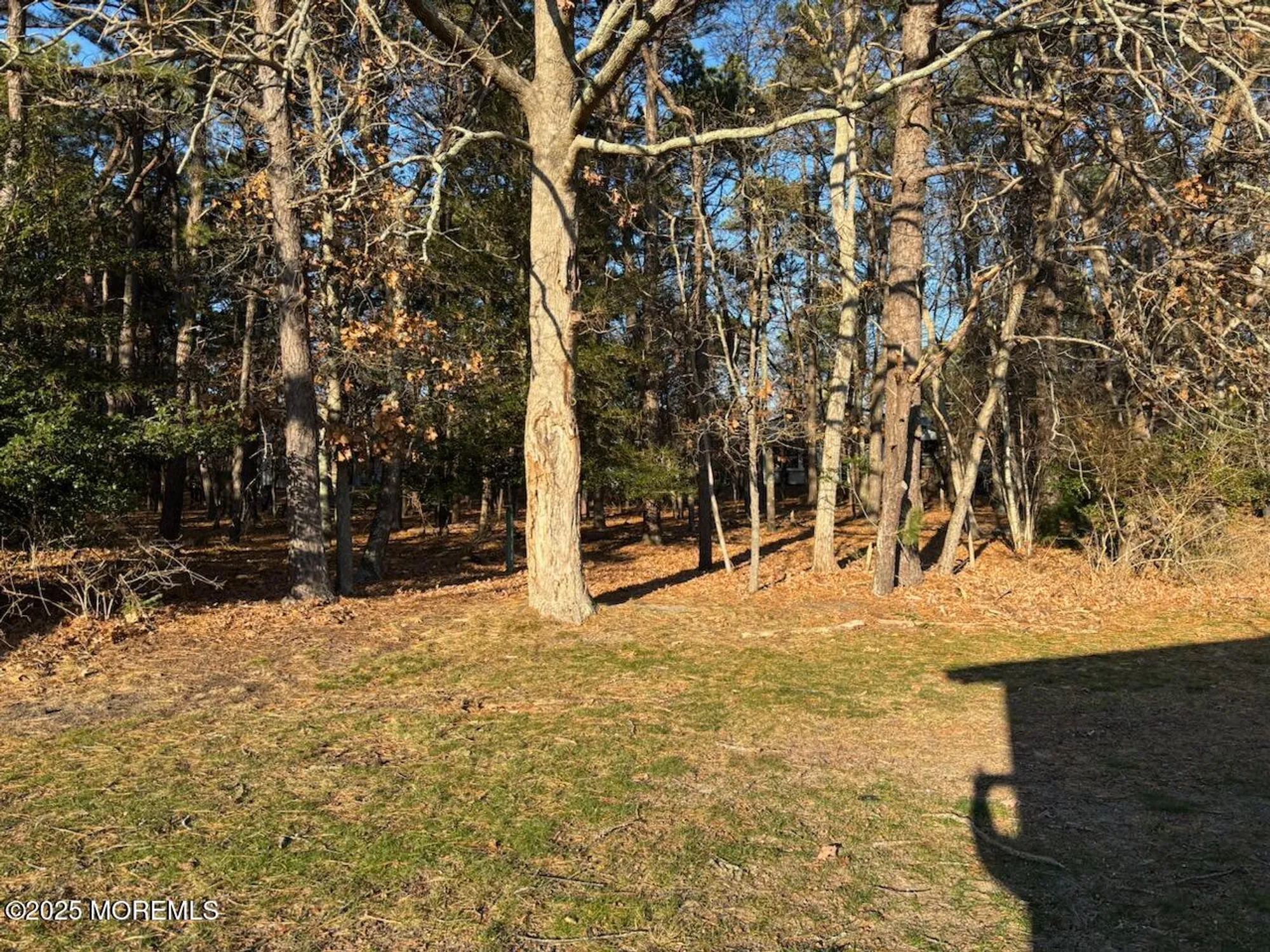 Property Slideshow image 7 of 30 | 32 constitution blvd, Whiting, NJ, 08759