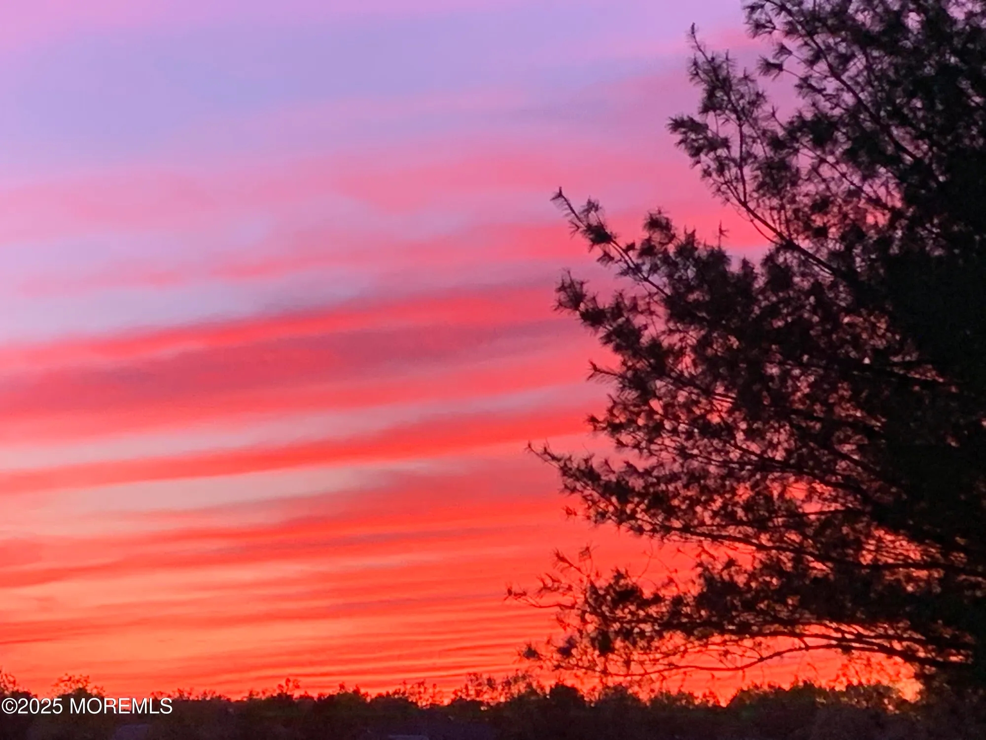 Property Slideshow image 56 of 73 | 193 wild dunes way, Jackson, NJ, 08527