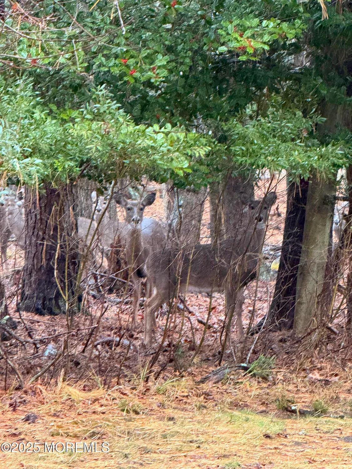 Property Slideshow image 26 of 26 | 14 portsmouth dr, Forked River, NJ, 08731