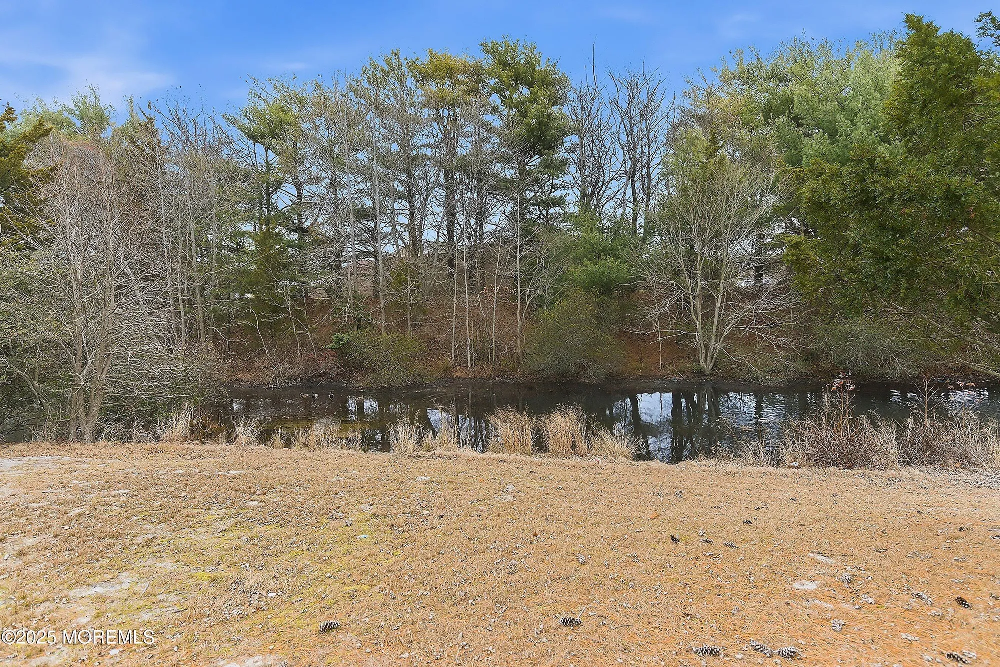 Property Slideshow image 31 of 56 | 178 charlotteville dr, Toms River, NJ, 08757