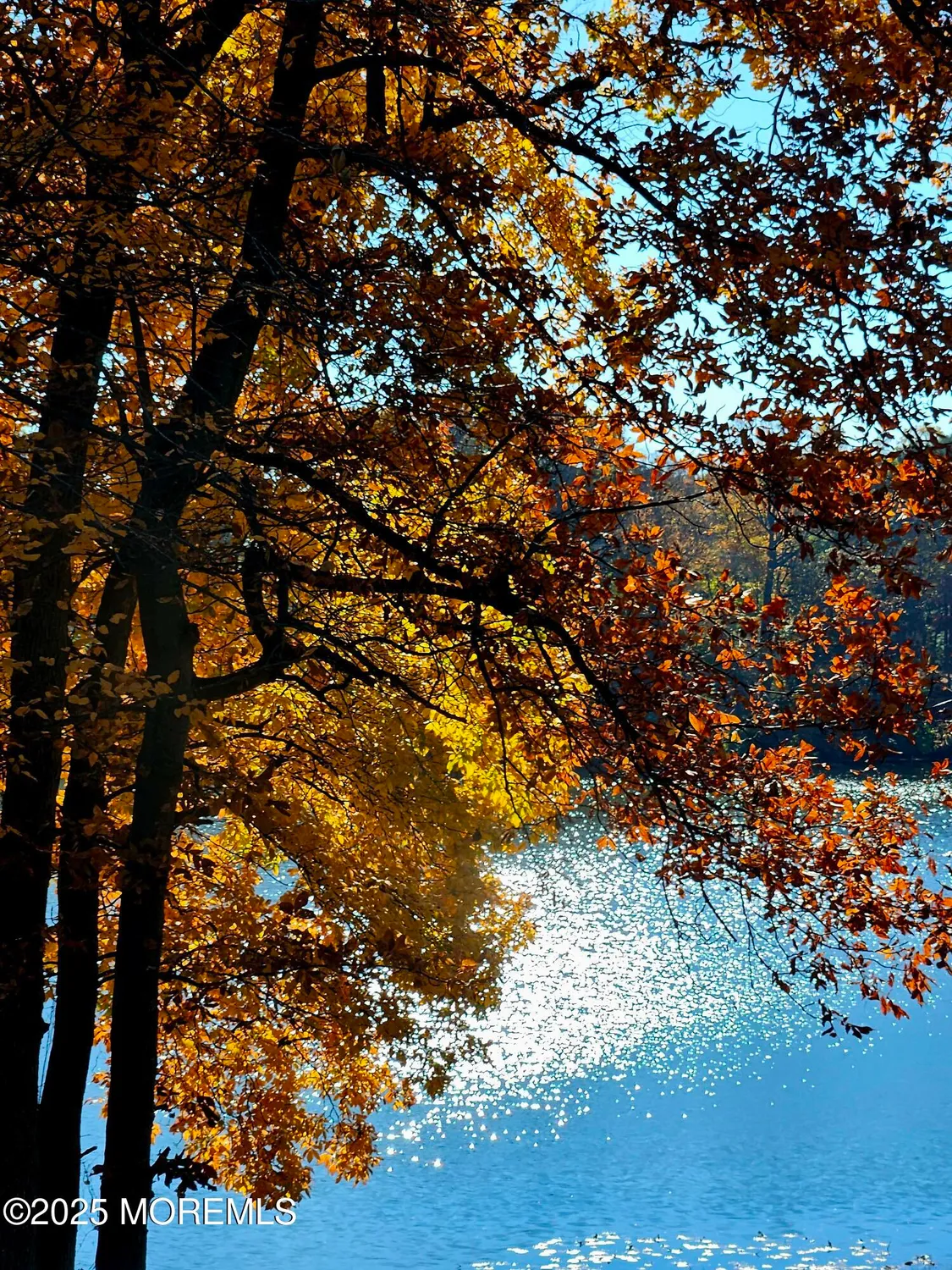 Property Slideshow image 50 of 54 | 3 auburn ct, Red Bank, NJ, 07701