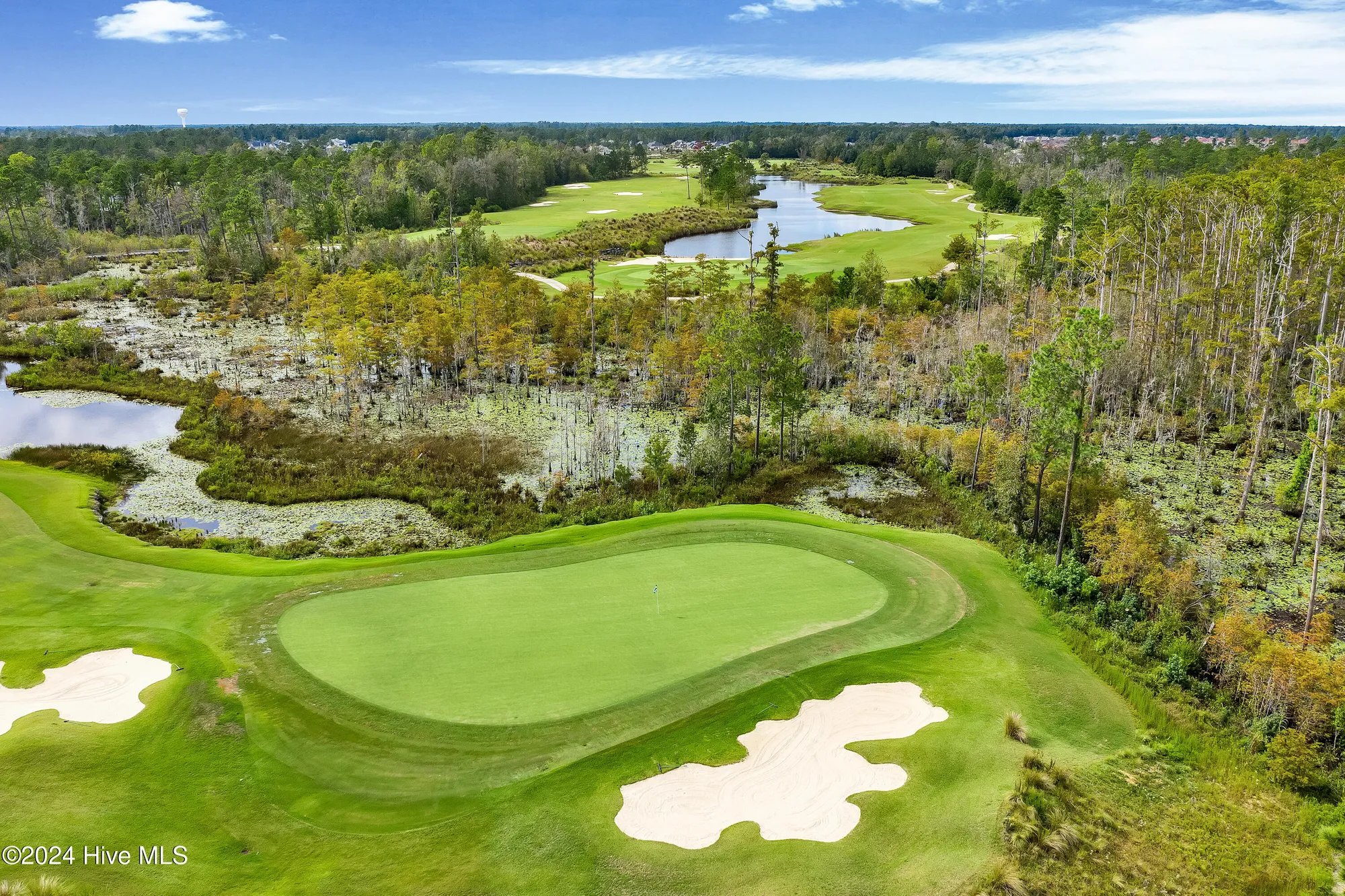 Property Slideshow image 78 of 80 | 1109 foxbow cv, Leland, NC, 28451