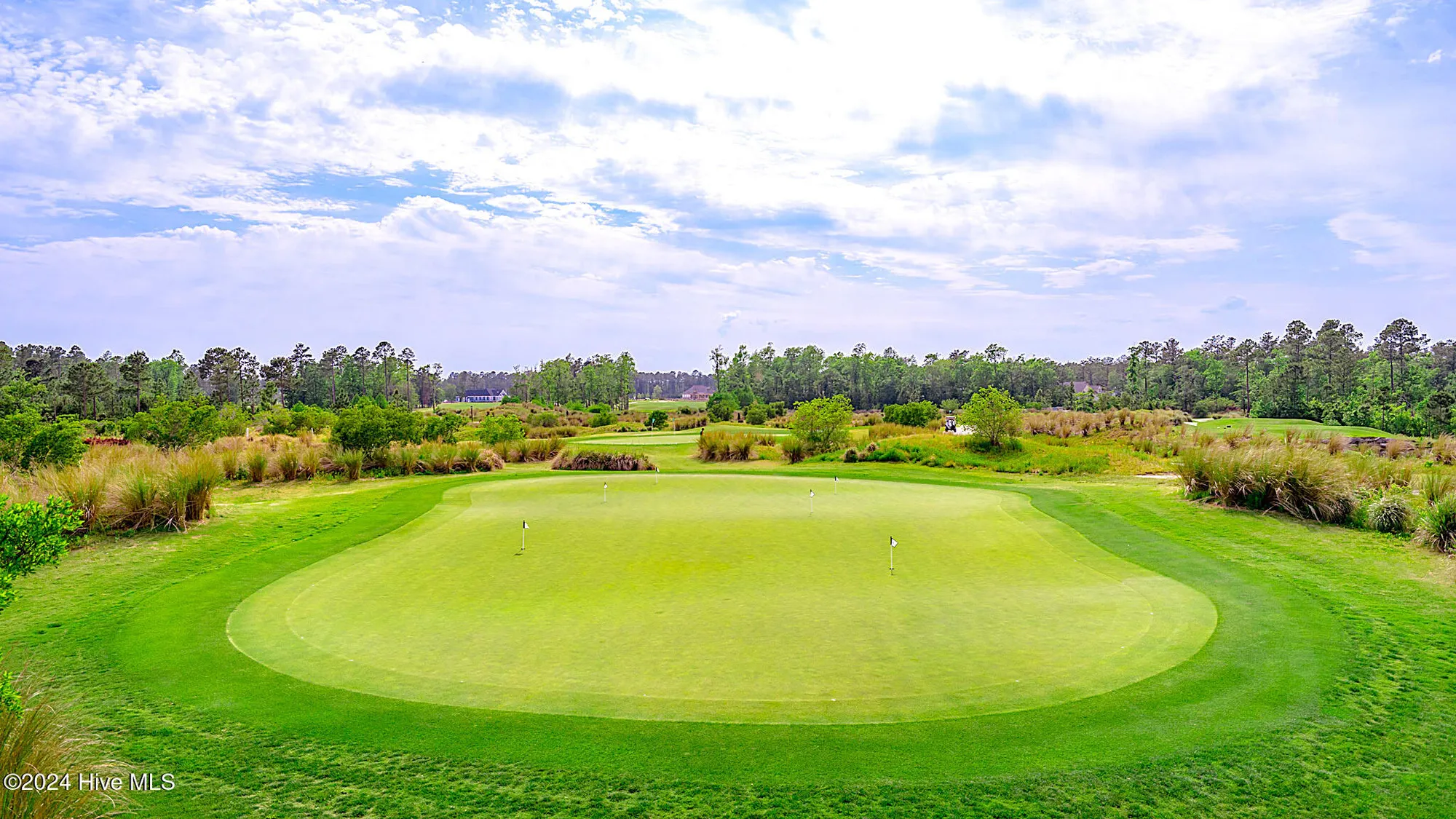 Property Slideshow image 80 of 80 | 1109 foxbow cv, Leland, NC, 28451