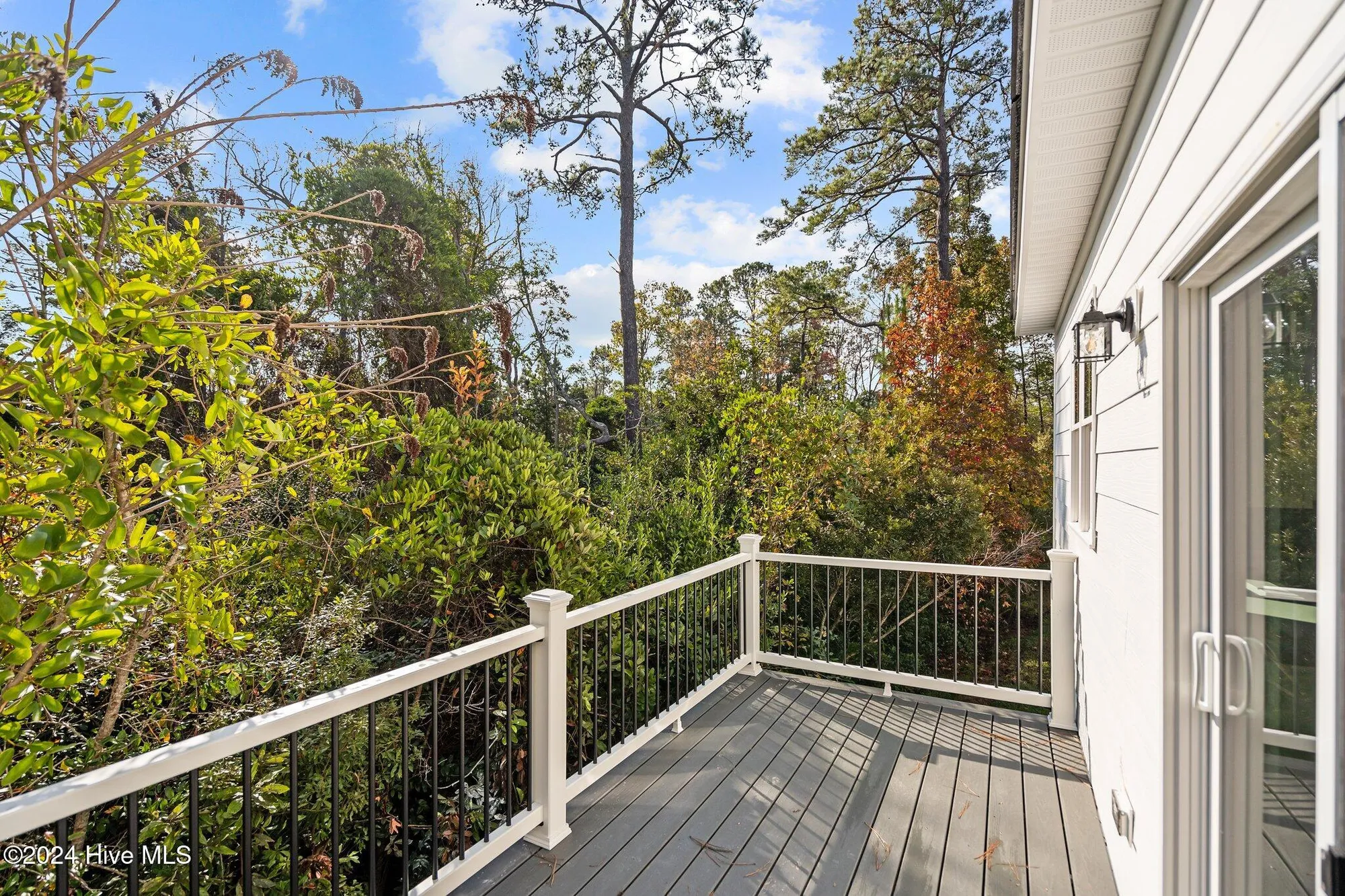 Property Slideshow image 38 of 48 | 4865 scarlet sage way, Shallotte, NC, 28470