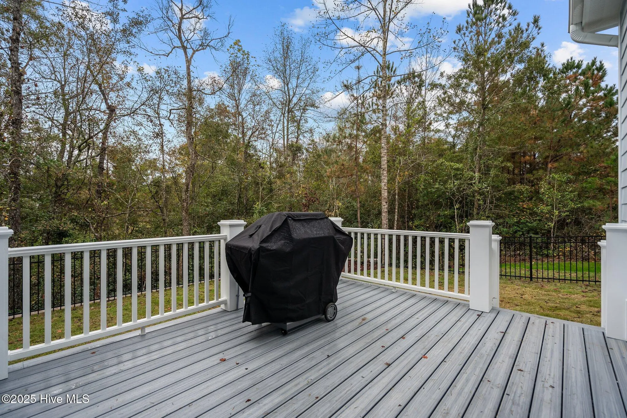 Property Slideshow image 31 of 53 | 3818 lemon drop ln, Leland, NC, 28451