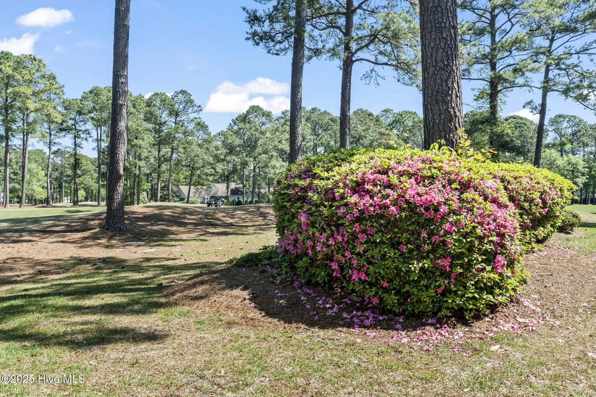Property Slideshow image 32 of 40 | 330 s middleton dr 1301, Calabash, NC, 28467