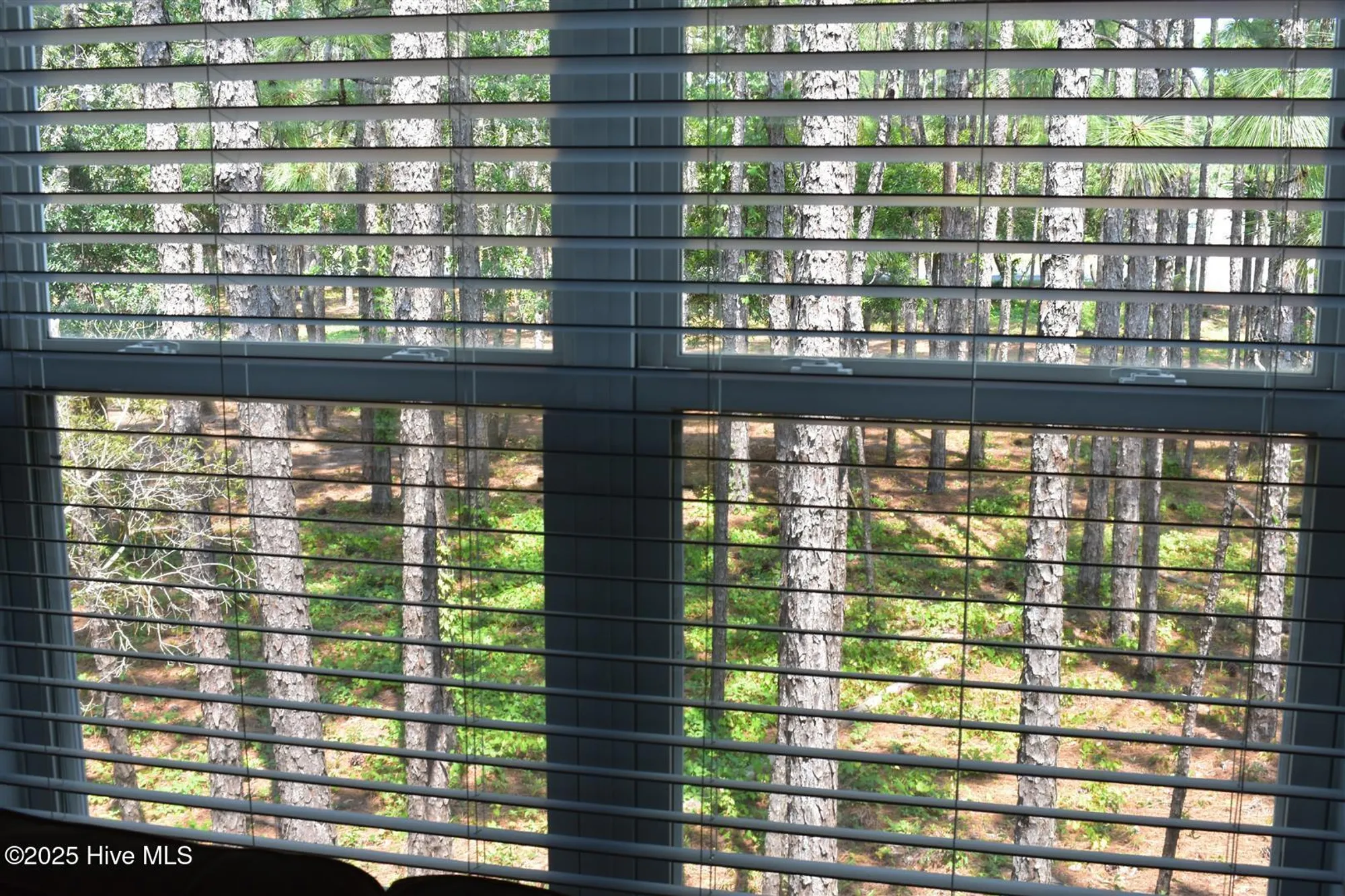 Property Slideshow image 13 of 34 | 3350 club villa dr 104, Southport, NC, 28461