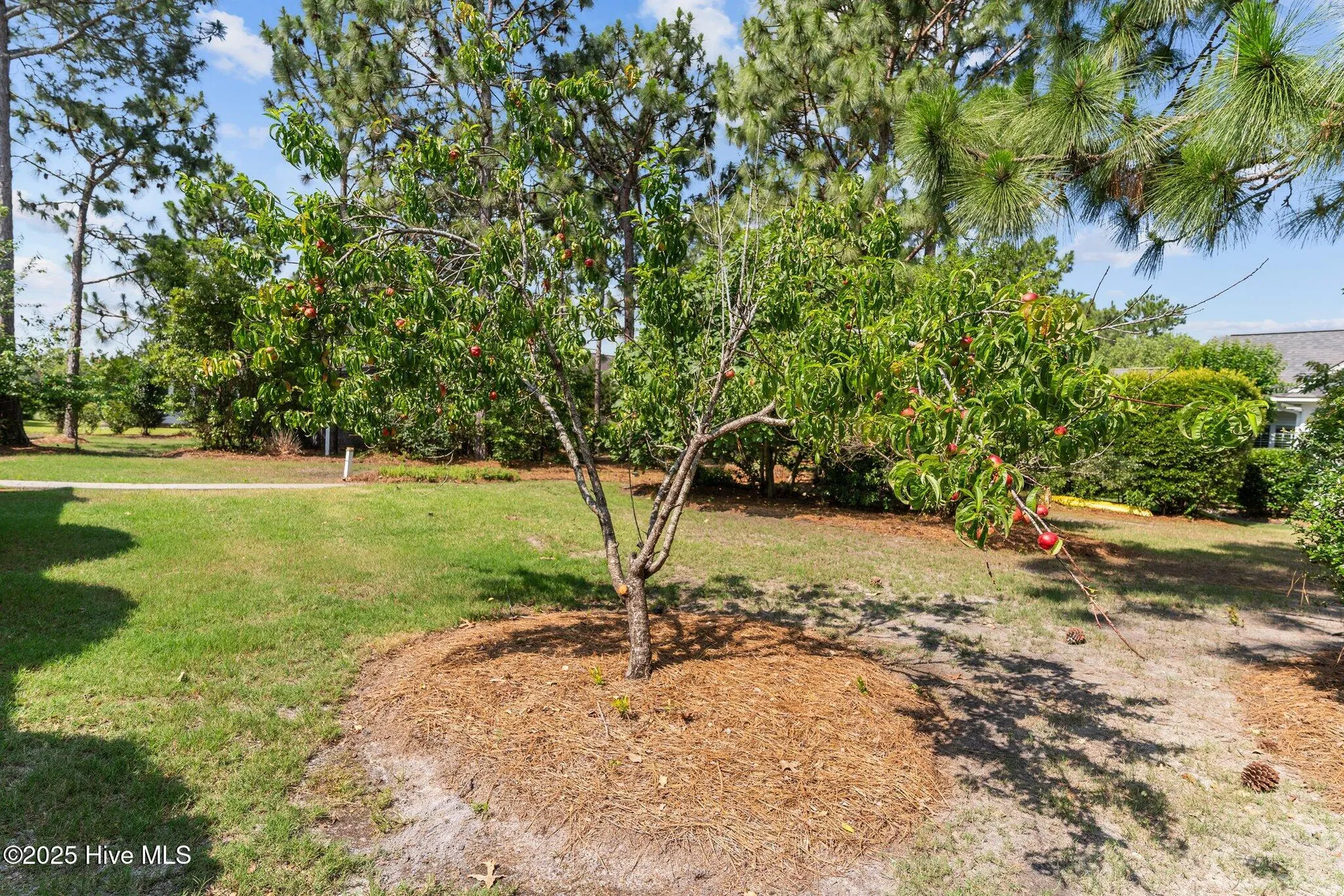 Property Slideshow image 44 of 88 | 2347 sugargrove trl, Leland, NC, 28451