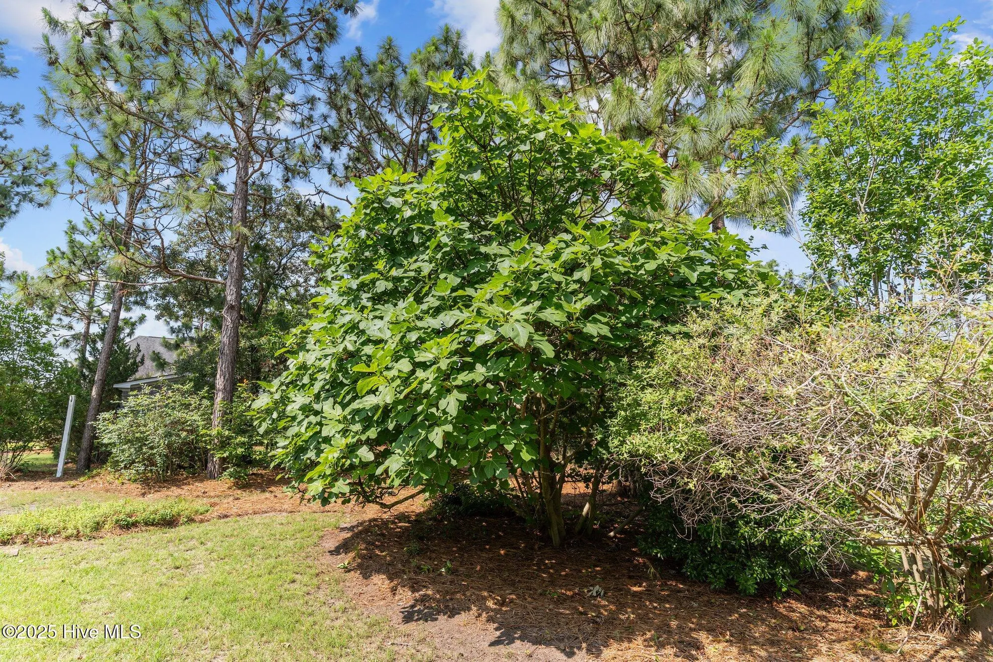 Property Slideshow image 45 of 88 | 2347 sugargrove trl, Leland, NC, 28451