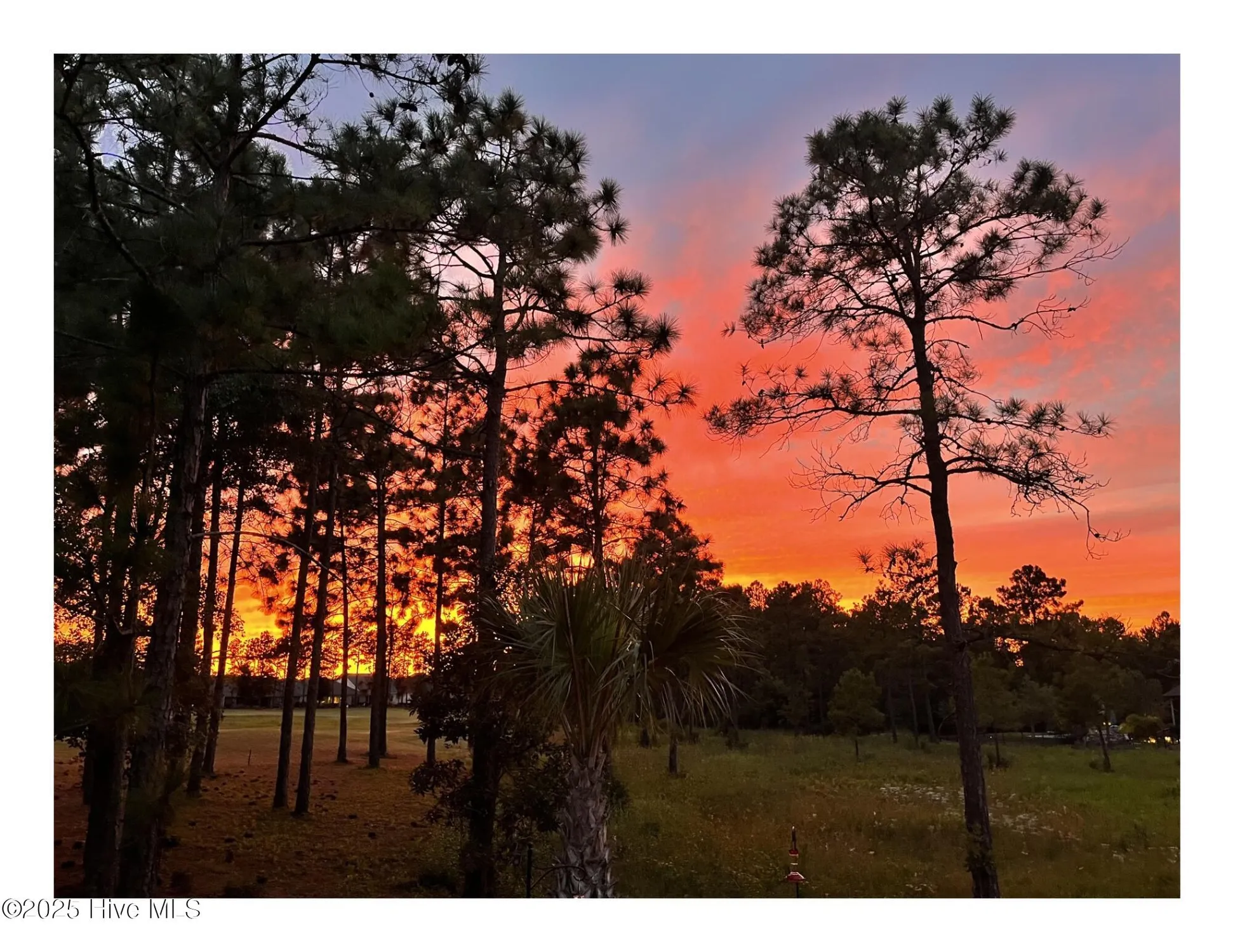 Property Slideshow image 2 of 114 | 2408 red birch trl, Leland, NC, 28451