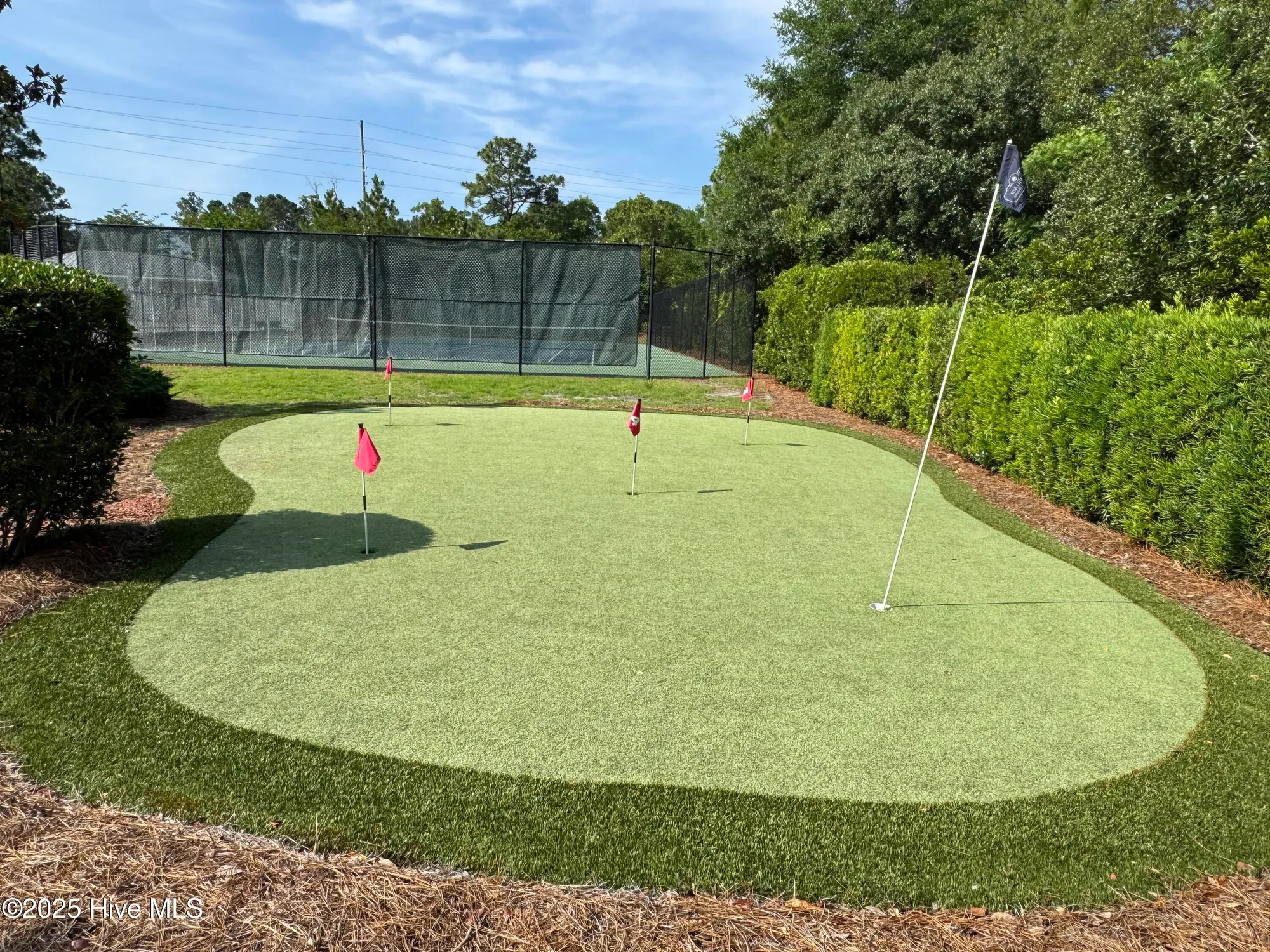 Property Slideshow image 45 of 51 | 310 white swan ct, Wilmington, NC, 28412