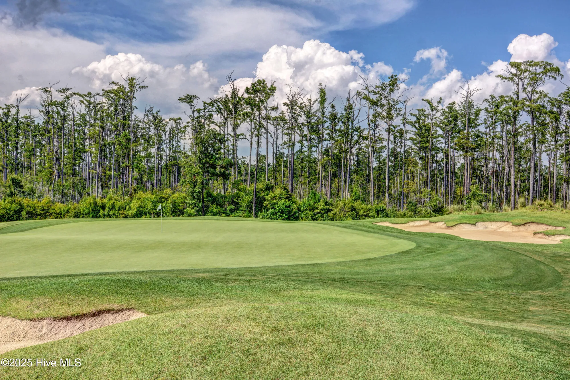 Property Slideshow image 38 of 72 | 1109 wilwood ct, Leland, NC, 28451