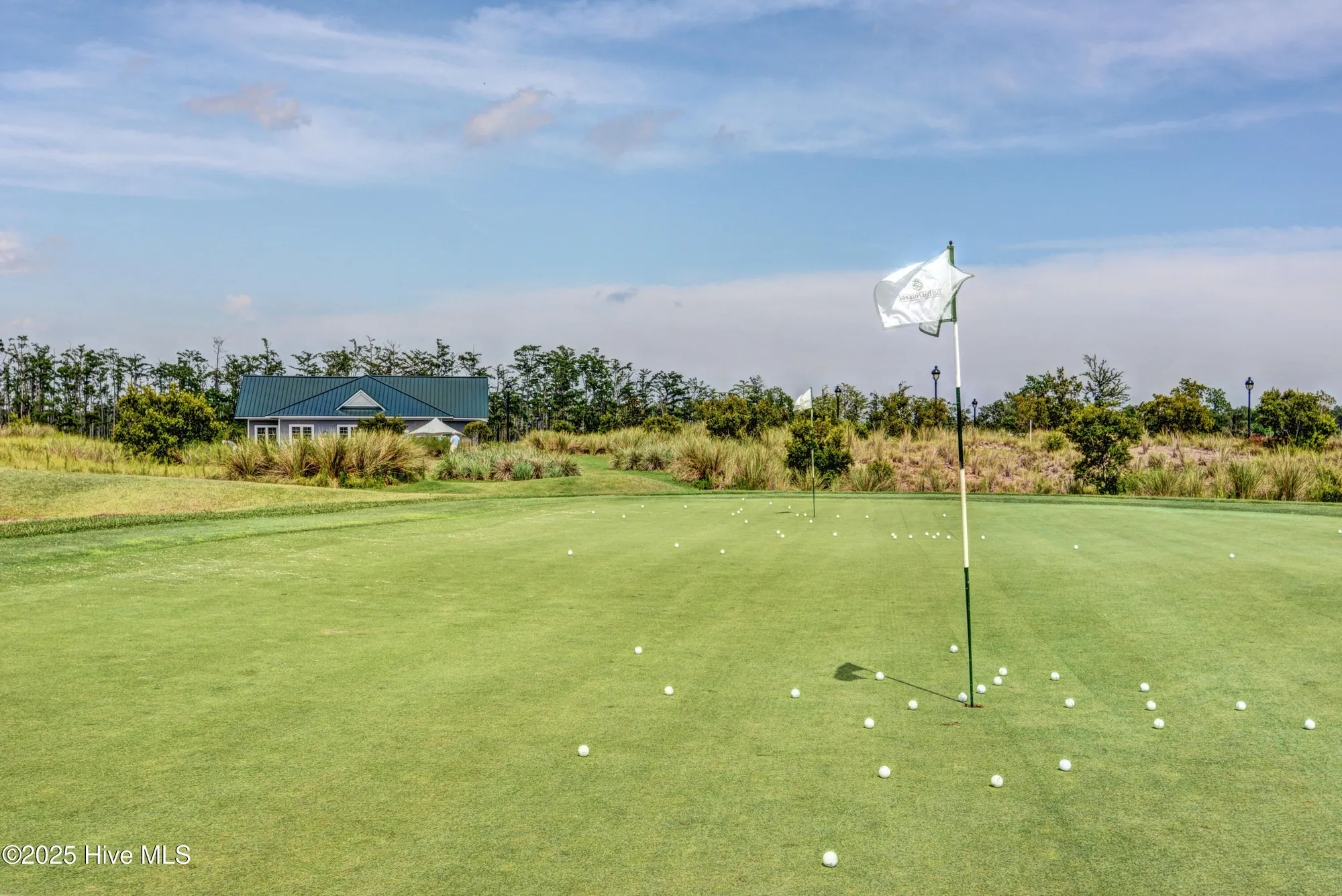 Property Slideshow image 39 of 72 | 1109 wilwood ct, Leland, NC, 28451