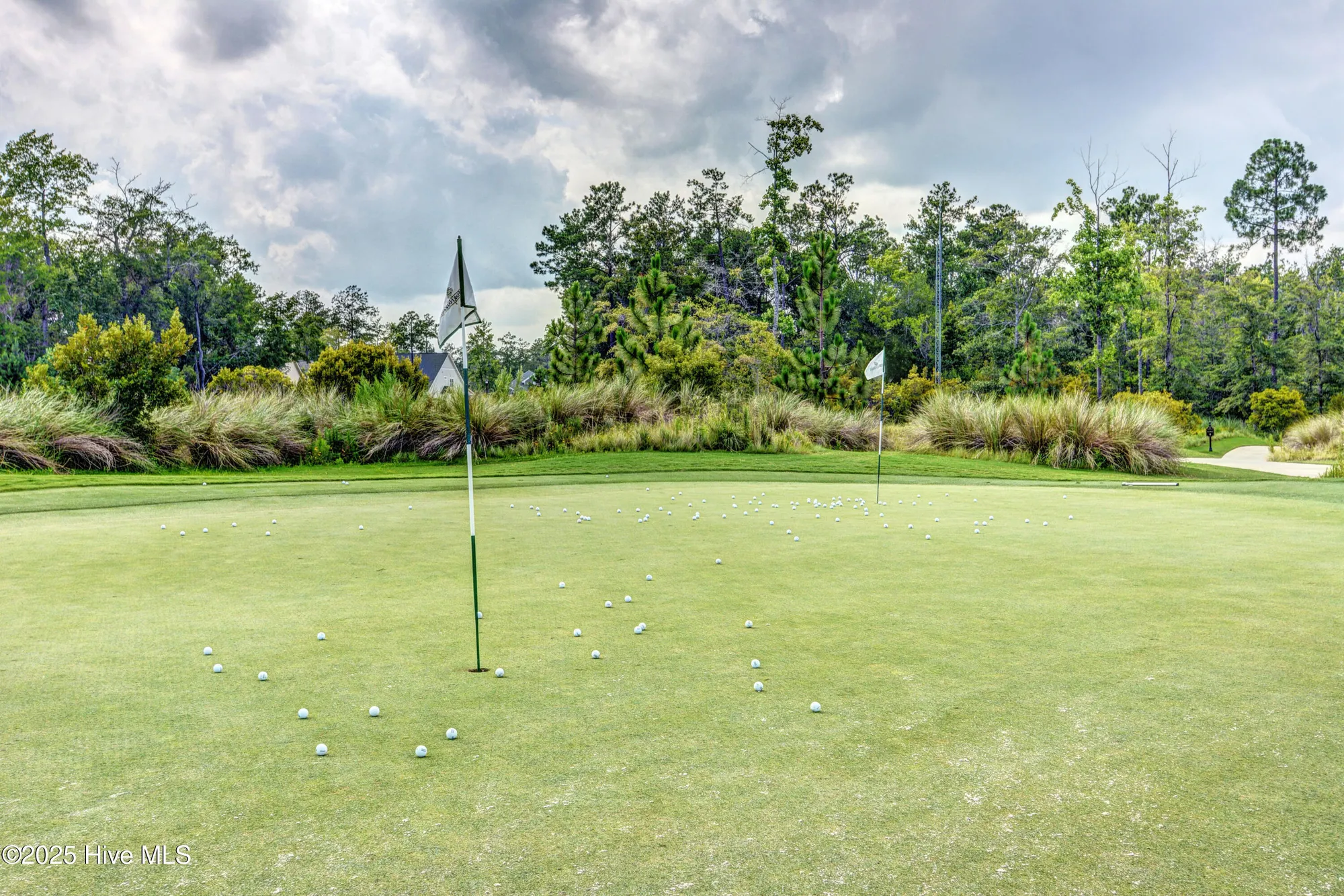 Property Slideshow image 40 of 72 | 1109 wilwood ct, Leland, NC, 28451