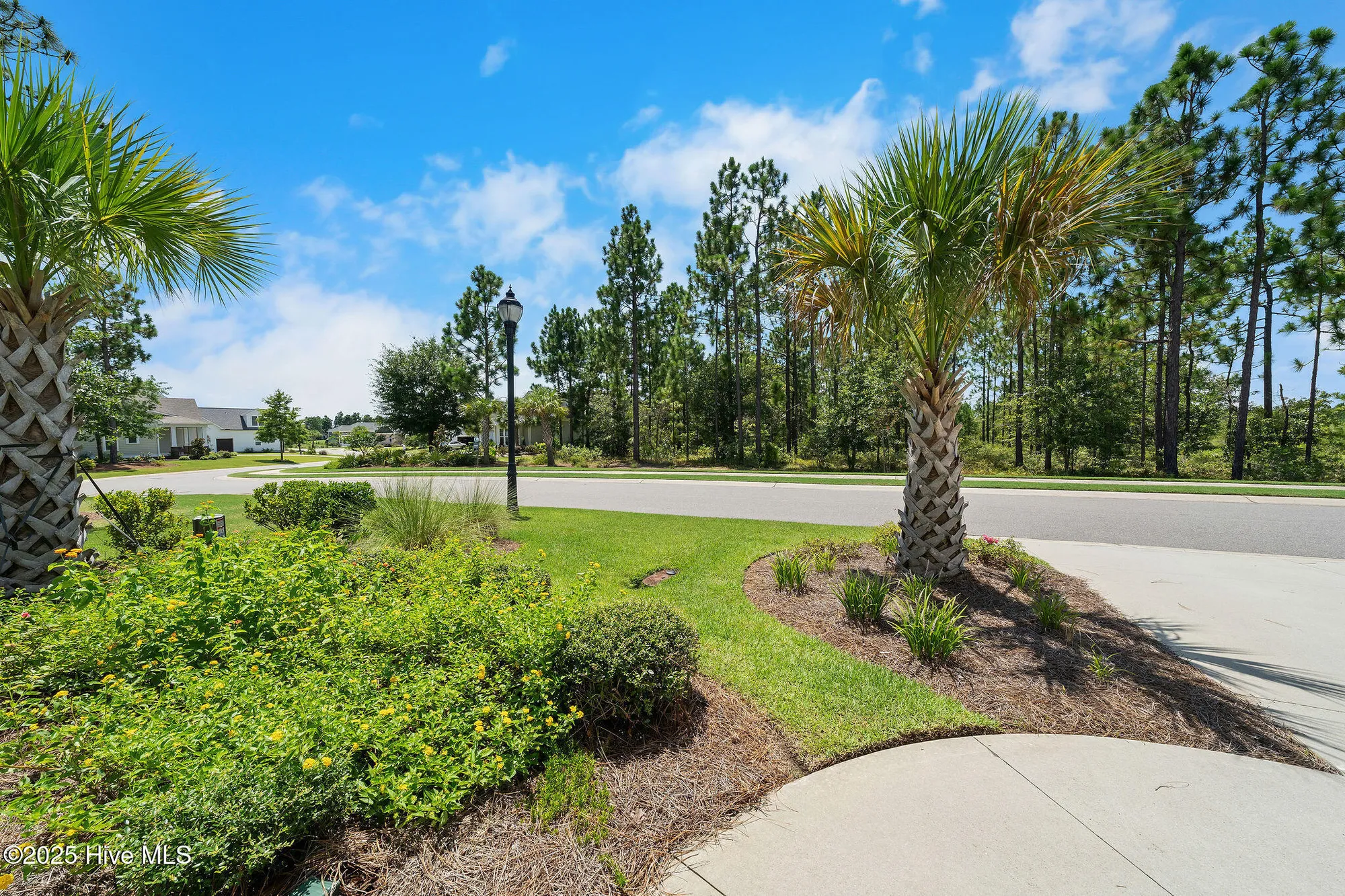 Property Slideshow image 45 of 55 | 8700 horse nettle dr, Leland, NC, 28451