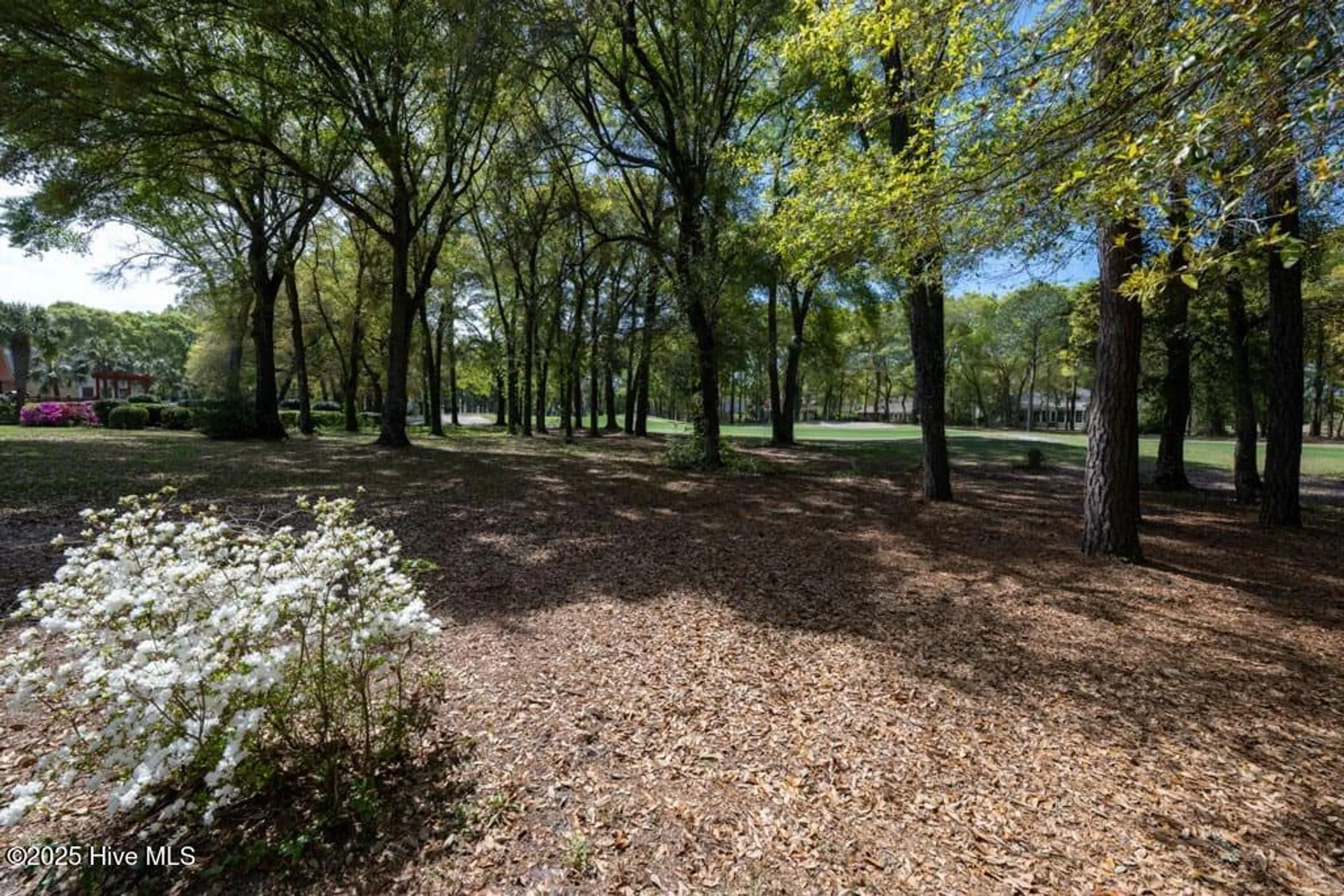 Property Slideshow image 2 of 92 | 401 sea trail dr, Sunset Beach, NC, 28468