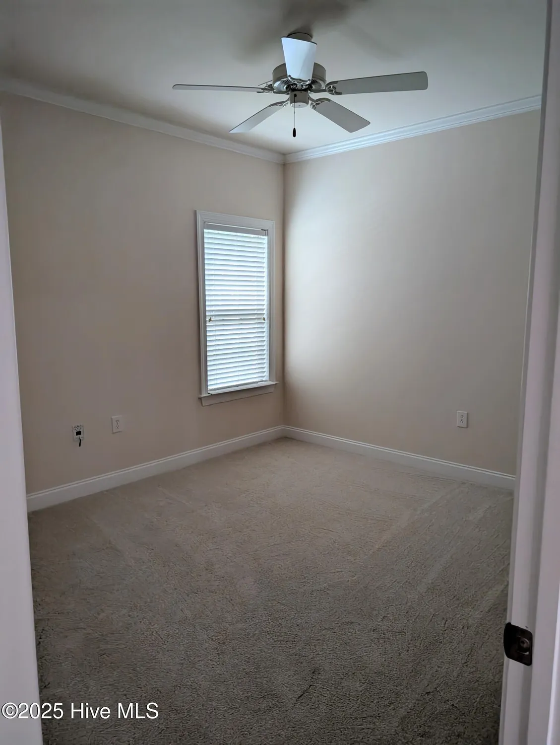 Property Slideshow image 13 of 25 | 1177 lillibridge dr, Leland, NC, 28451