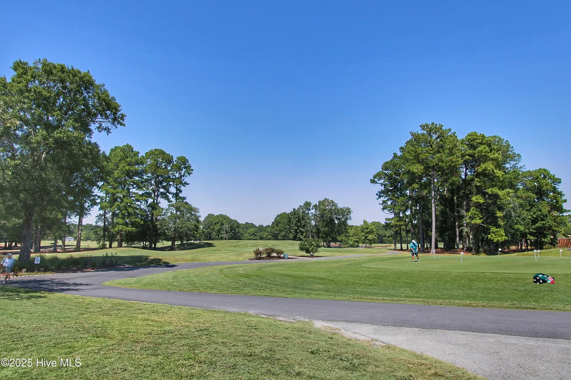 Property Slideshow image 59 of 61 | 1005 meadowlands trl, Calabash, NC, 28467