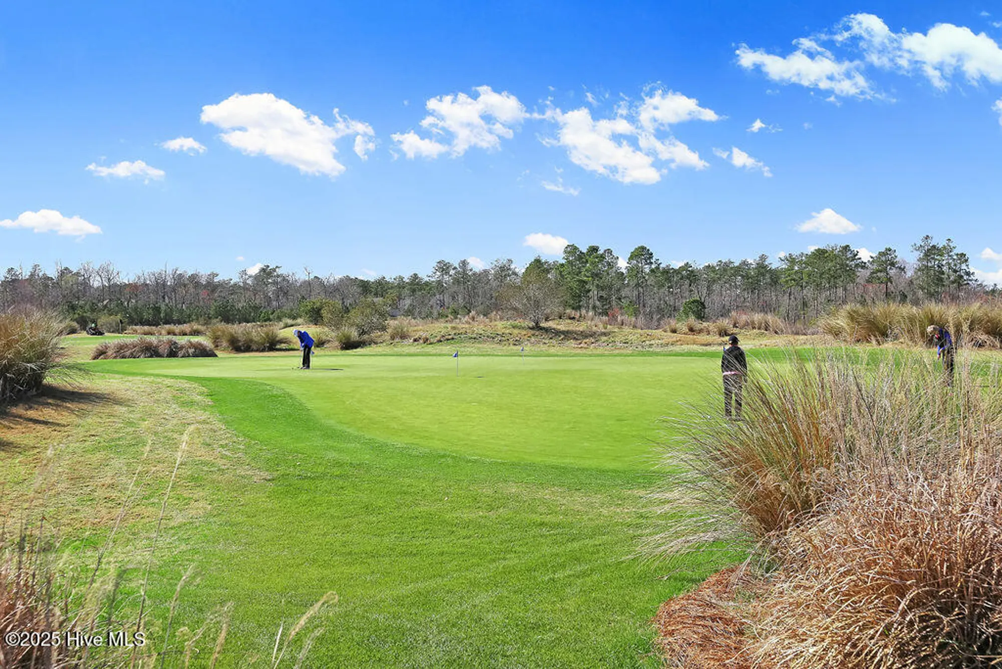 Property Slideshow image 62 of 68 | 2225 umstead ln, Leland, NC, 28451