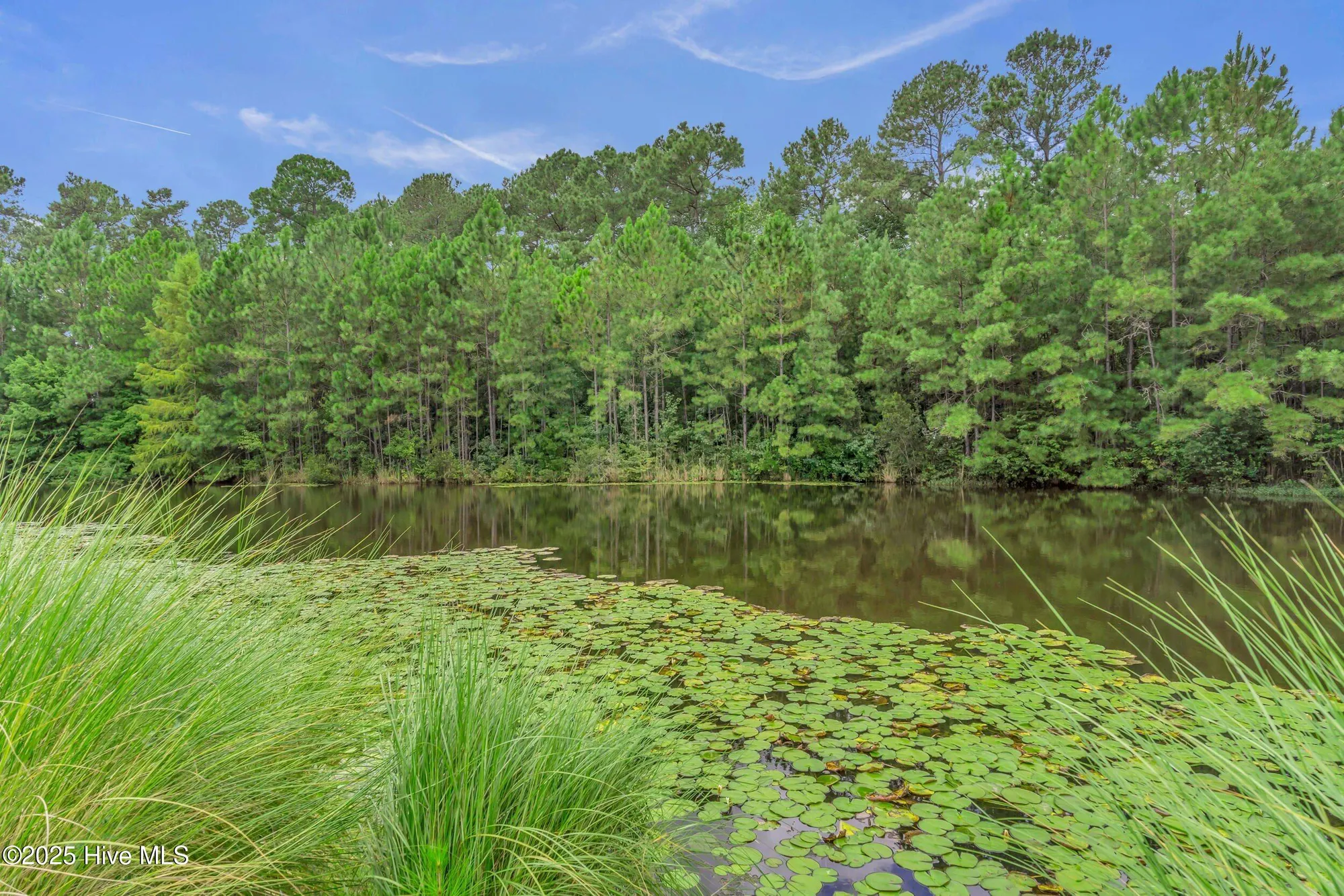 Property Slideshow image 55 of 71 | 2152 cokesbury ct, Leland, NC, 28451