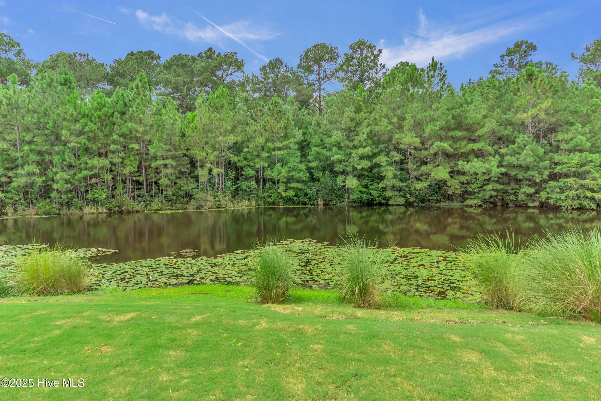 Property Slideshow image 53 of 71 | 2152 cokesbury ct, Leland, NC, 28451