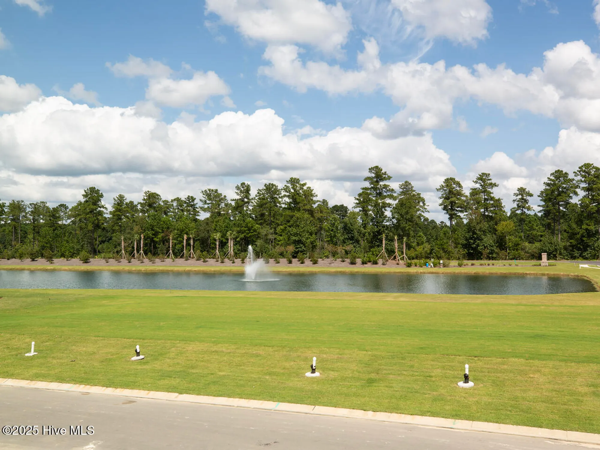 Property Slideshow image 49 of 67 | 4217 allsbrook ln 1062, Leland, NC, 28451