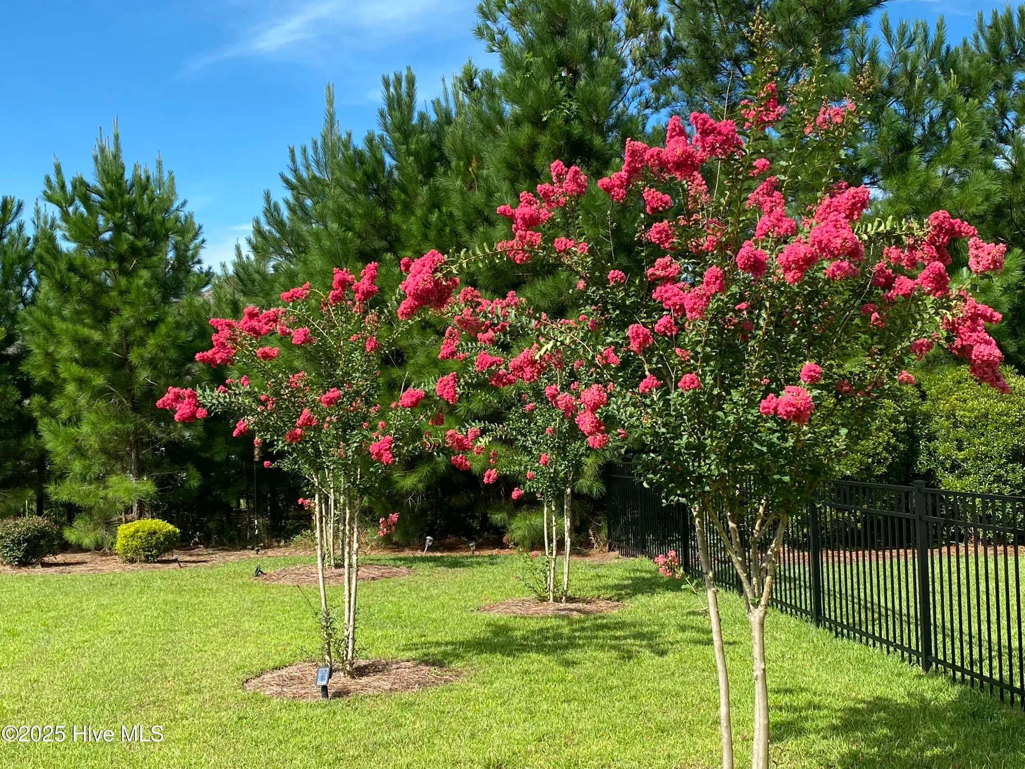 Property Slideshow image 40 of 59 | 3032 eno ln, Leland, NC, 28451