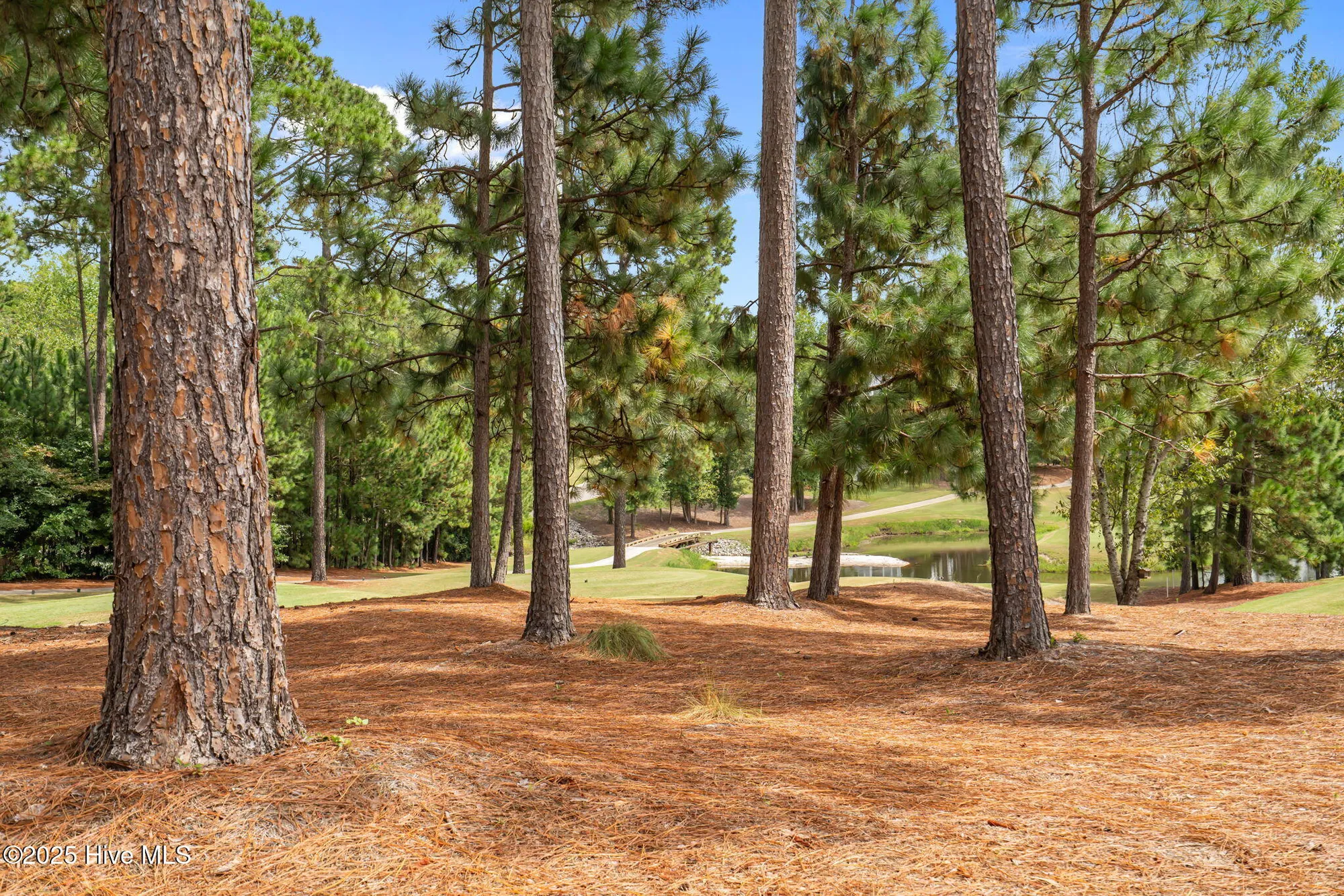 Property Slideshow image 32 of 34 | 105 e chelsea ct, Southern Pines, NC, 28387
