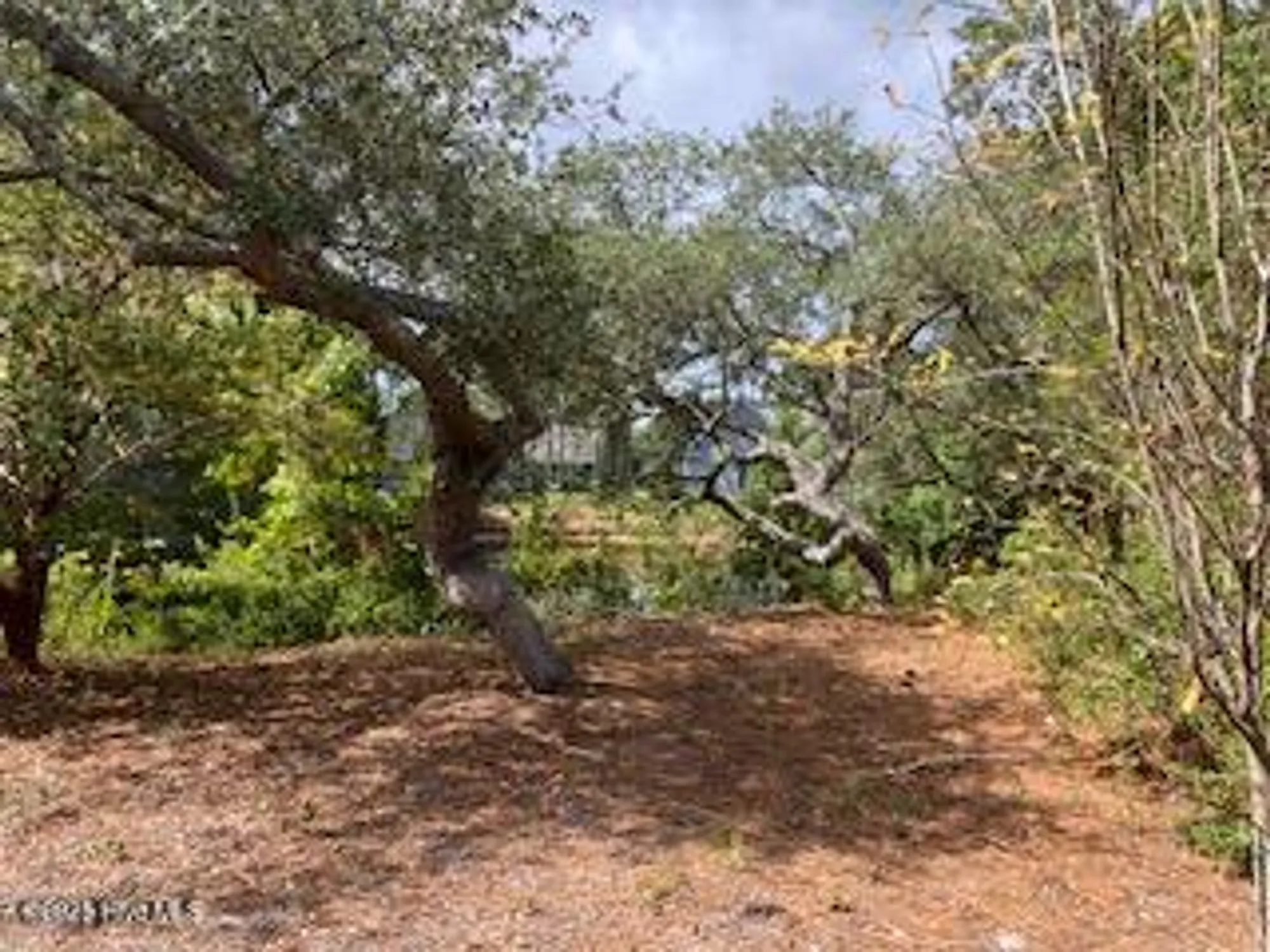 Property Slideshow image 37 of 53 | 4138 churchill cir, Southport, NC, 28461