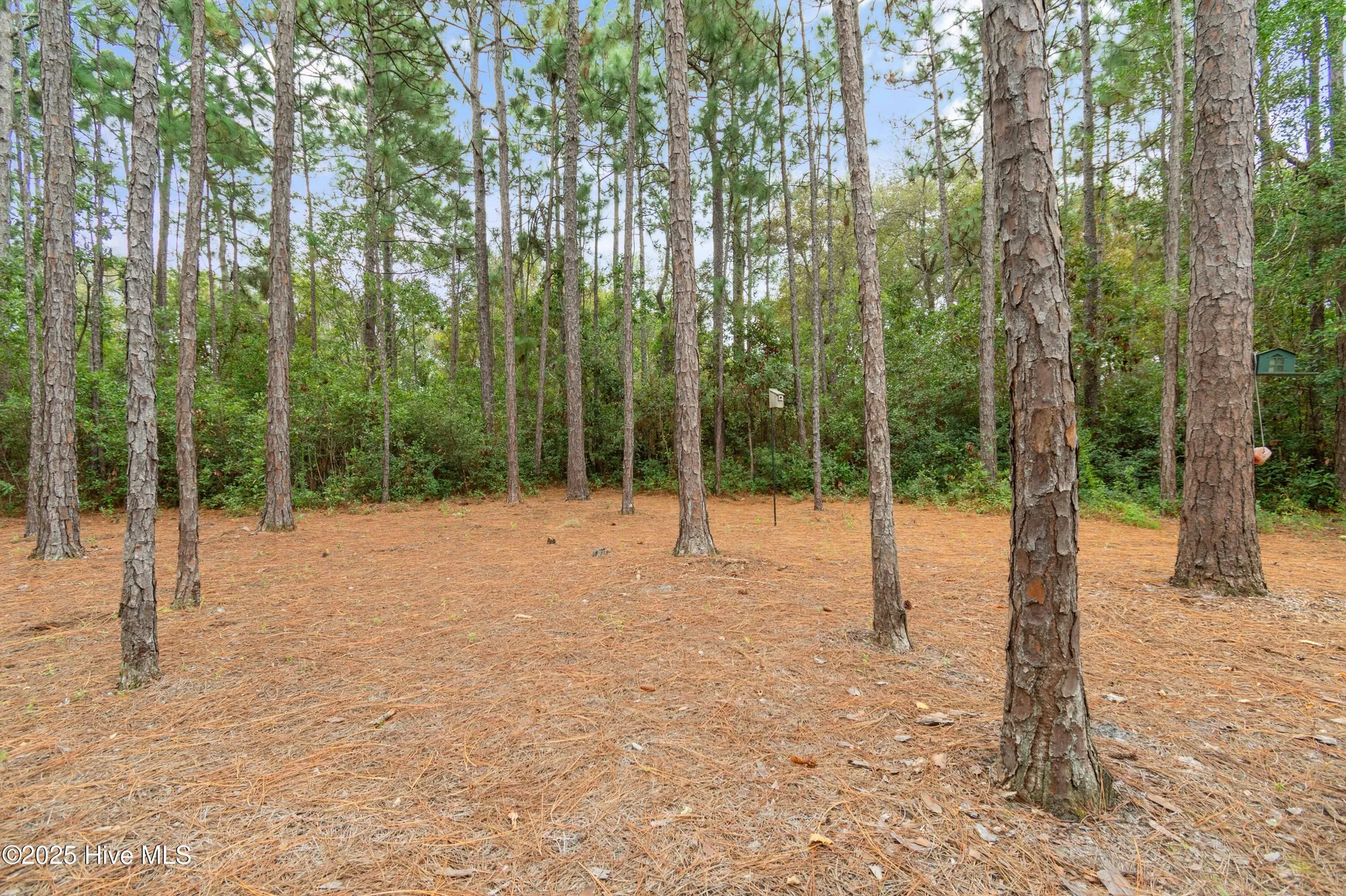 Property Slideshow image 17 of 78 | 3143 moss hammock wynd, Southport, NC, 28461