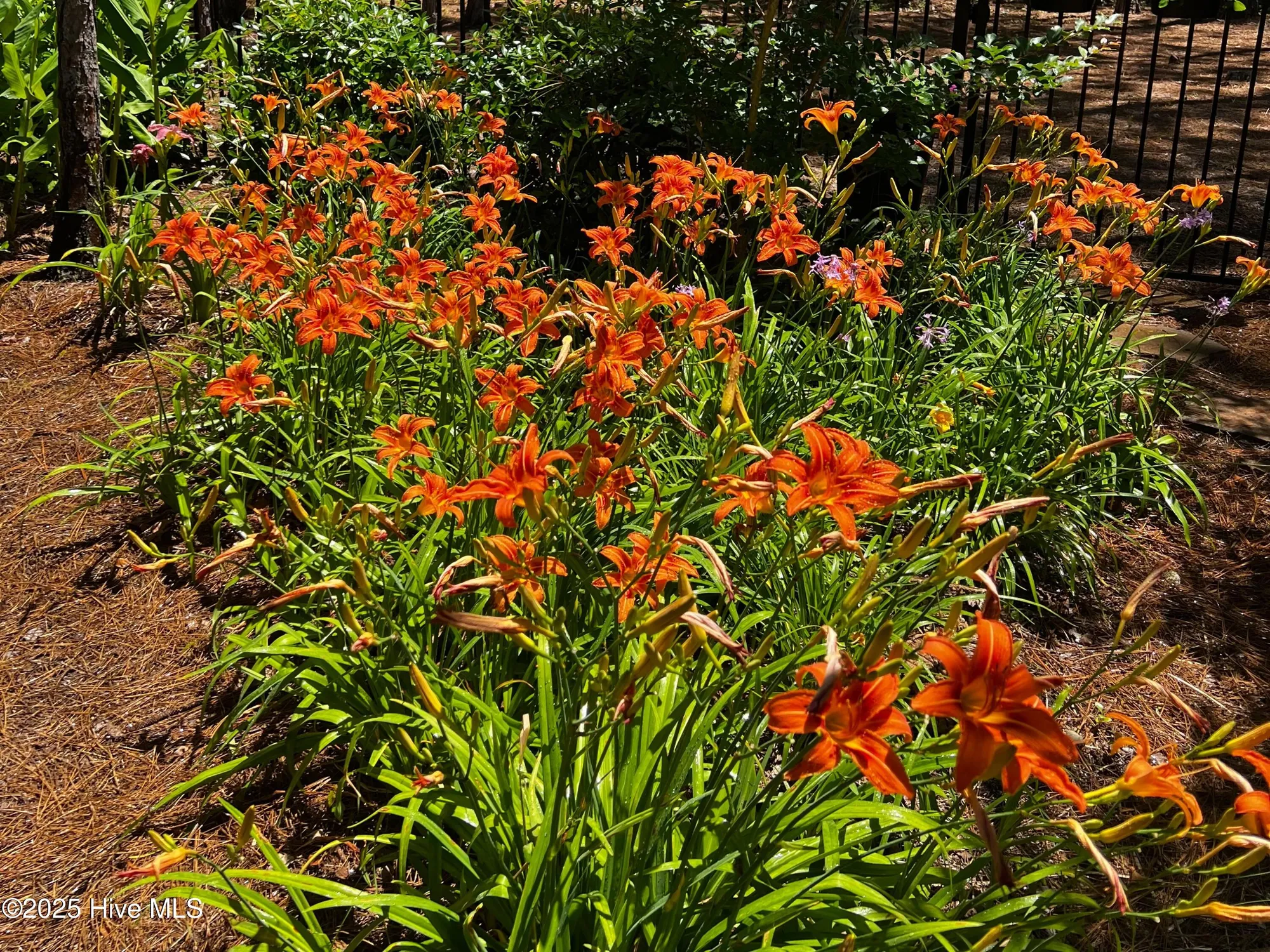Property Slideshow image 12 of 78 | 3143 moss hammock wynd, Southport, NC, 28461