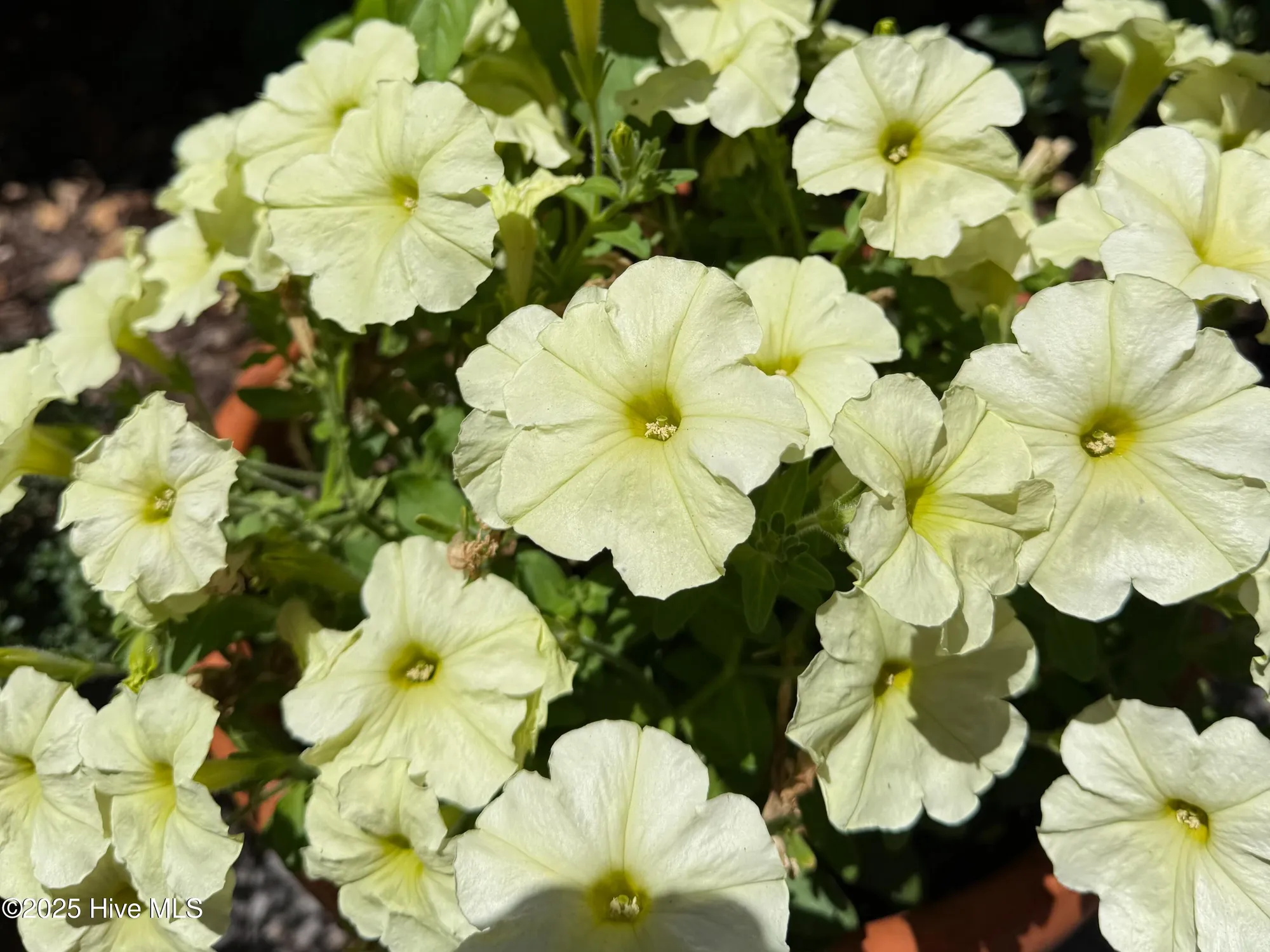 Property Slideshow image 65 of 78 | 3143 moss hammock wynd, Southport, NC, 28461