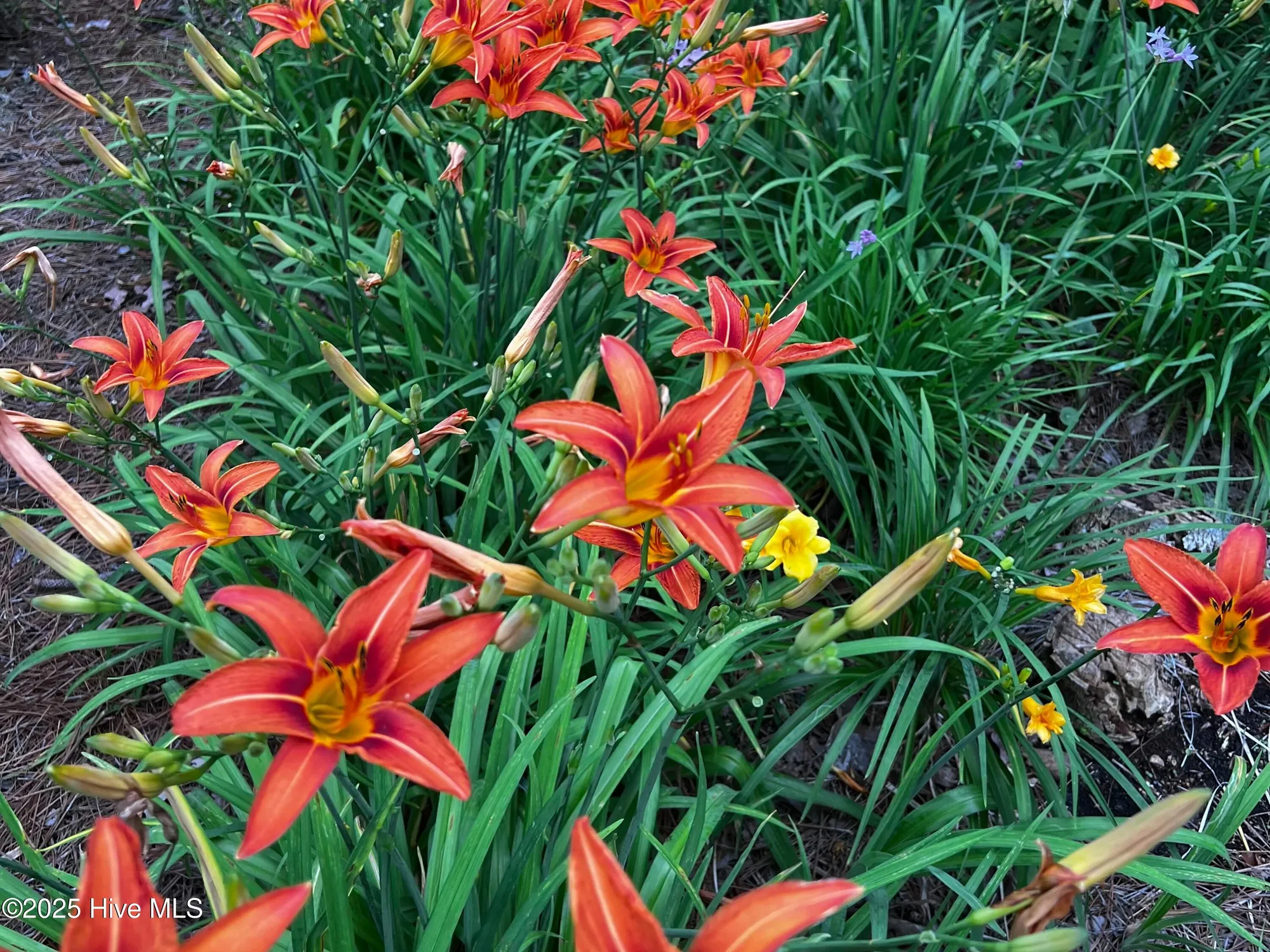 Property Slideshow image 13 of 78 | 3143 moss hammock wynd, Southport, NC, 28461
