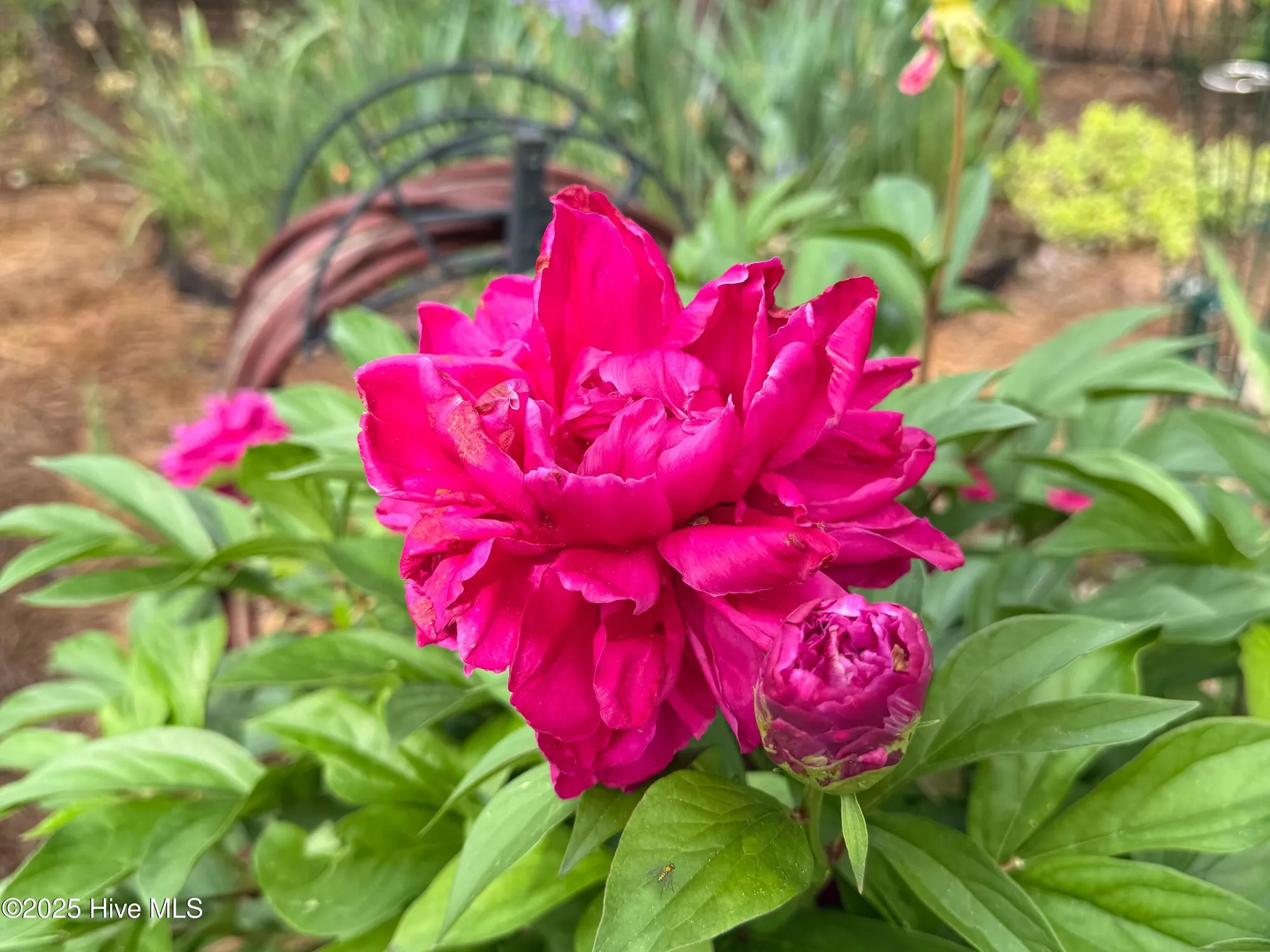 Property Slideshow image 64 of 78 | 3143 moss hammock wynd, Southport, NC, 28461