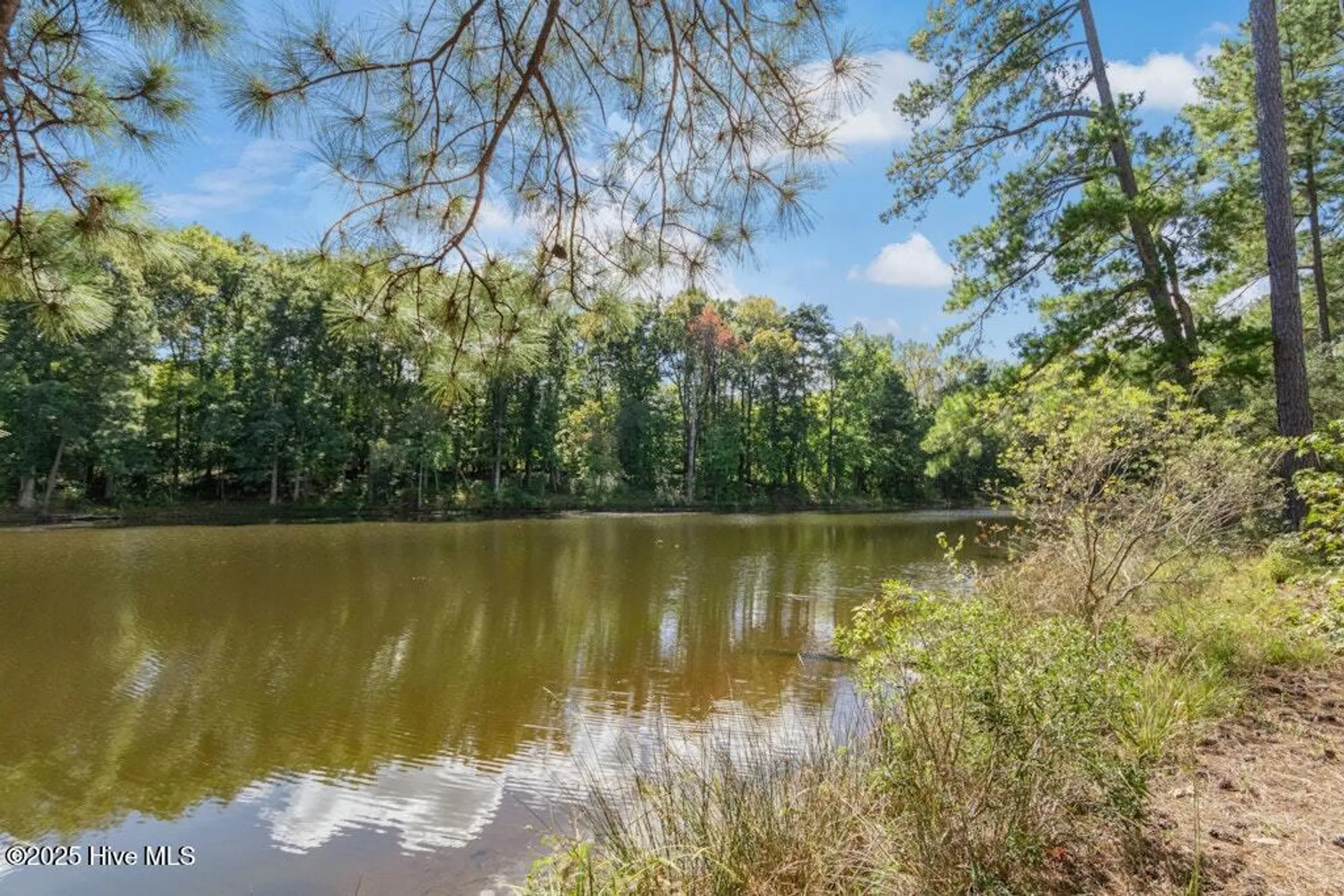 Property Slideshow image 48 of 49 | 1501 honey acorn ln, Wendell, NC, 27591