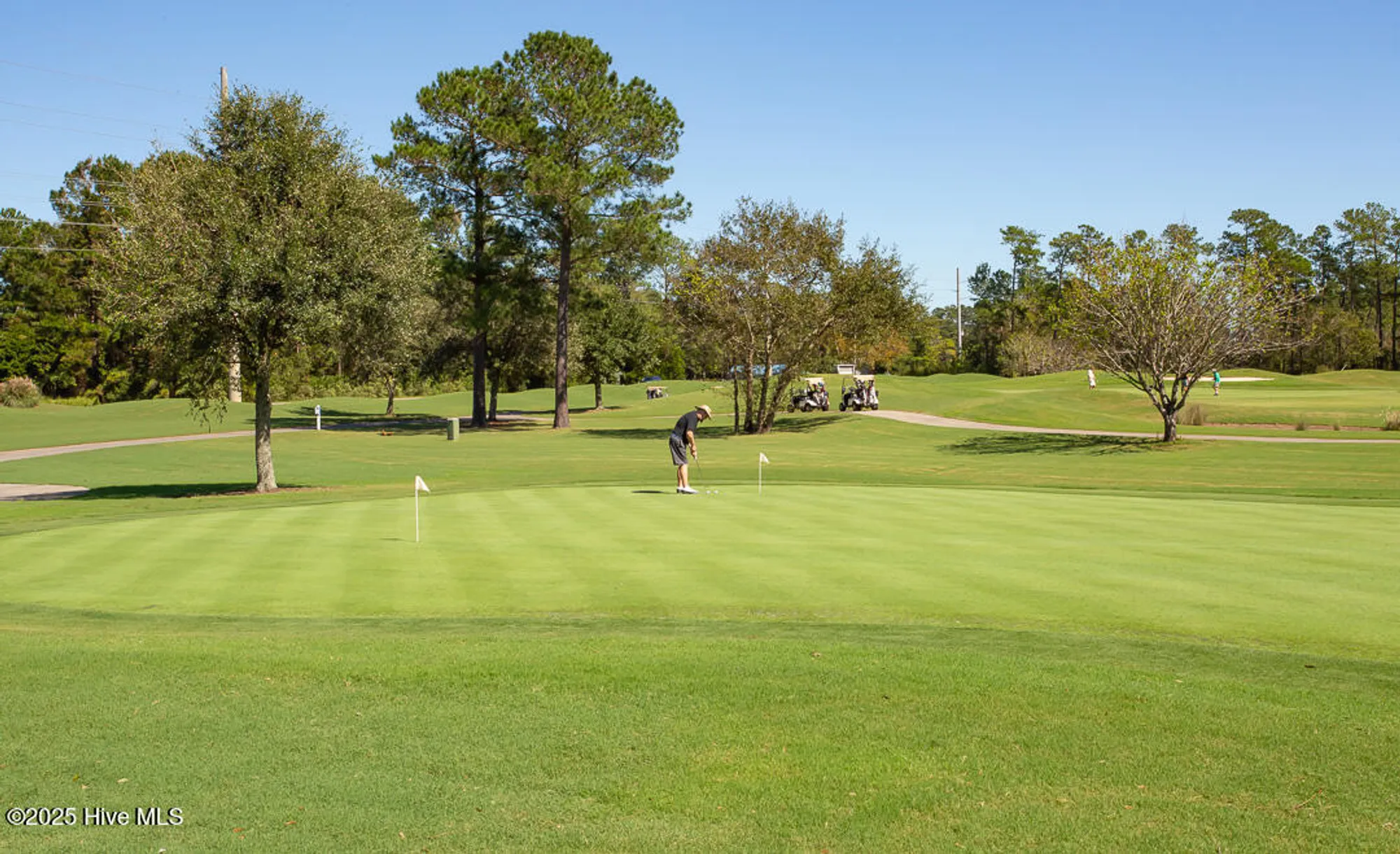 Property Slideshow image 48 of 51 | 290 woodlands way 22, Calabash, NC, 28467