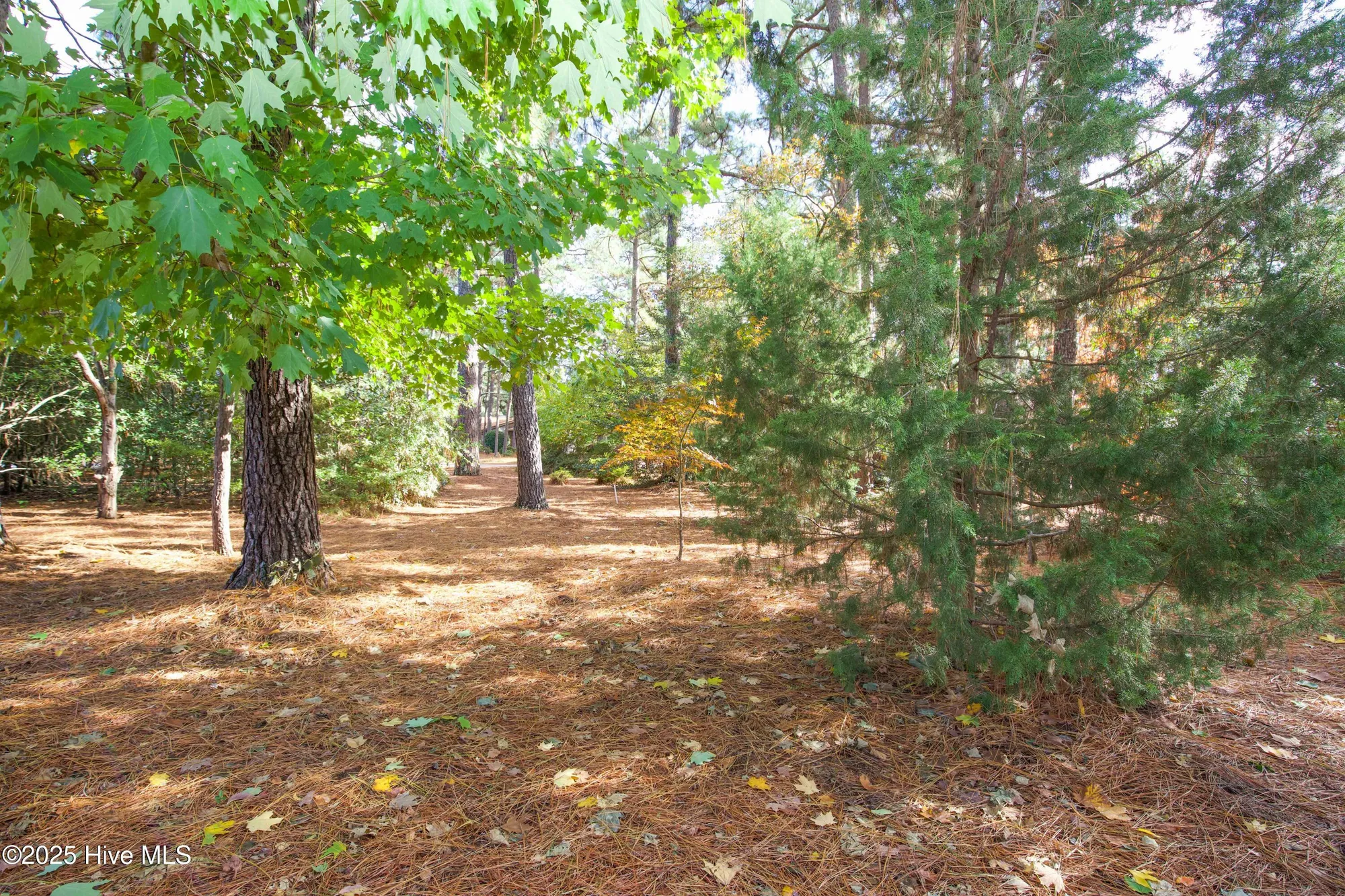 Property Slideshow image 28 of 33 | 414 teakwood ln, Southern Pines, NC, 28387