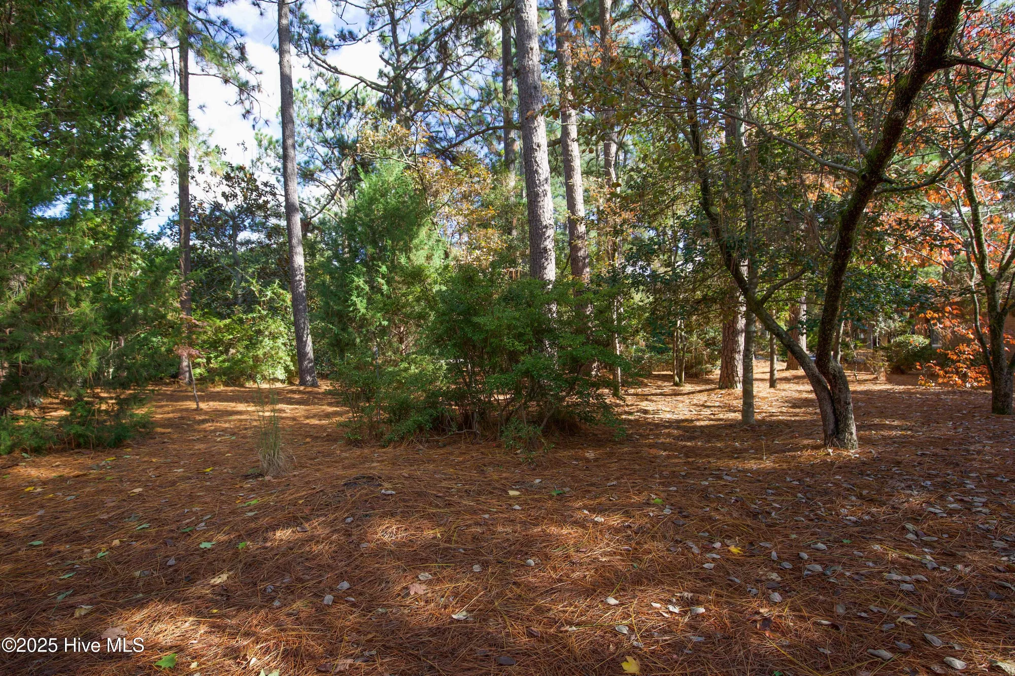 Property Slideshow image 30 of 33 | 414 teakwood ln, Southern Pines, NC, 28387