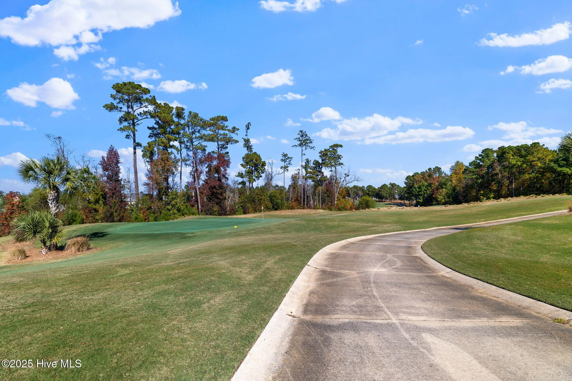 Property Slideshow image 53 of 60 | 8556 pine nut dr ne, Leland, NC, 28451