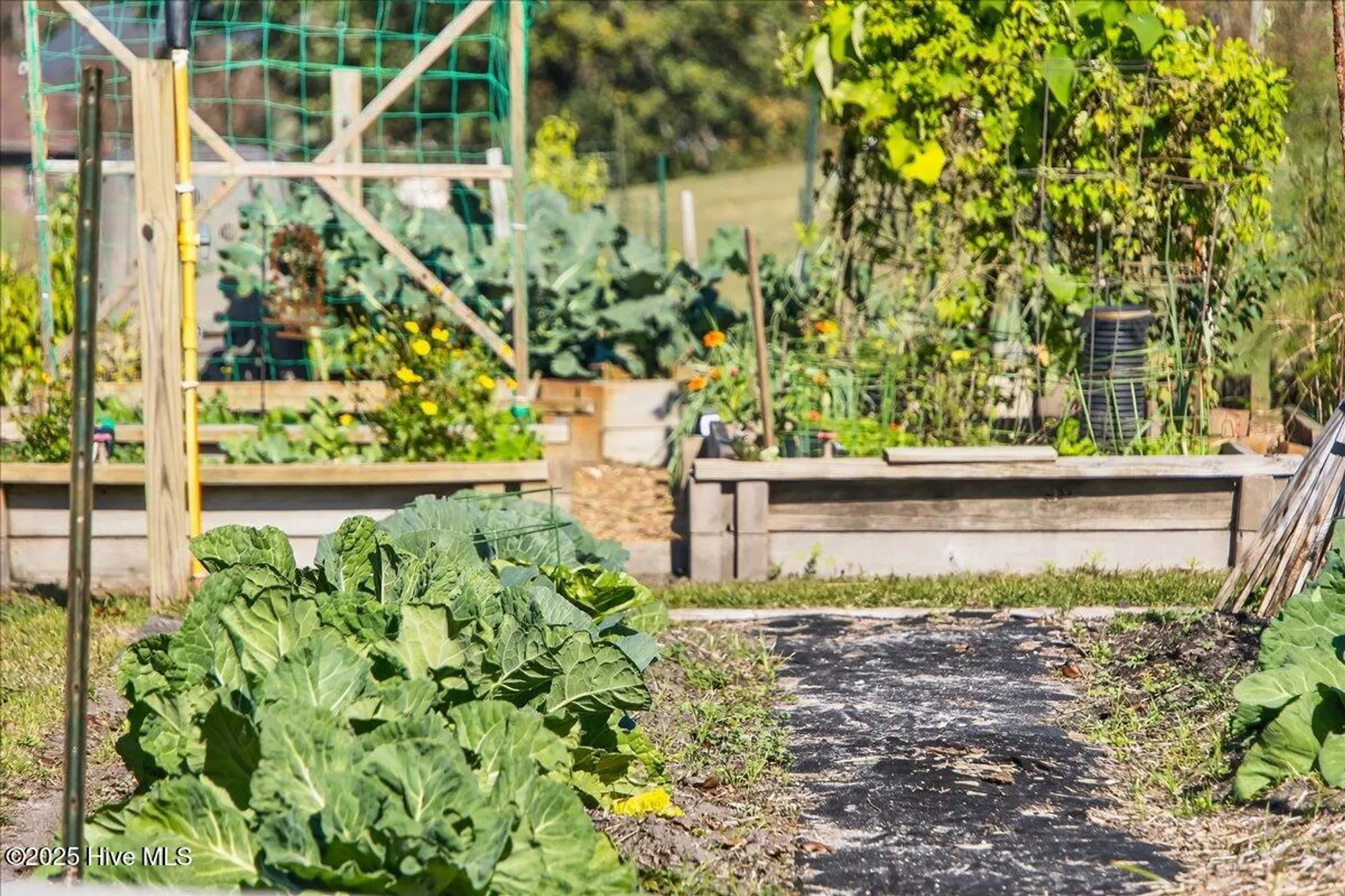 Property Slideshow image 77 of 128 | 294 sedgefield pl, Ocean Isle Beach, NC, 28469