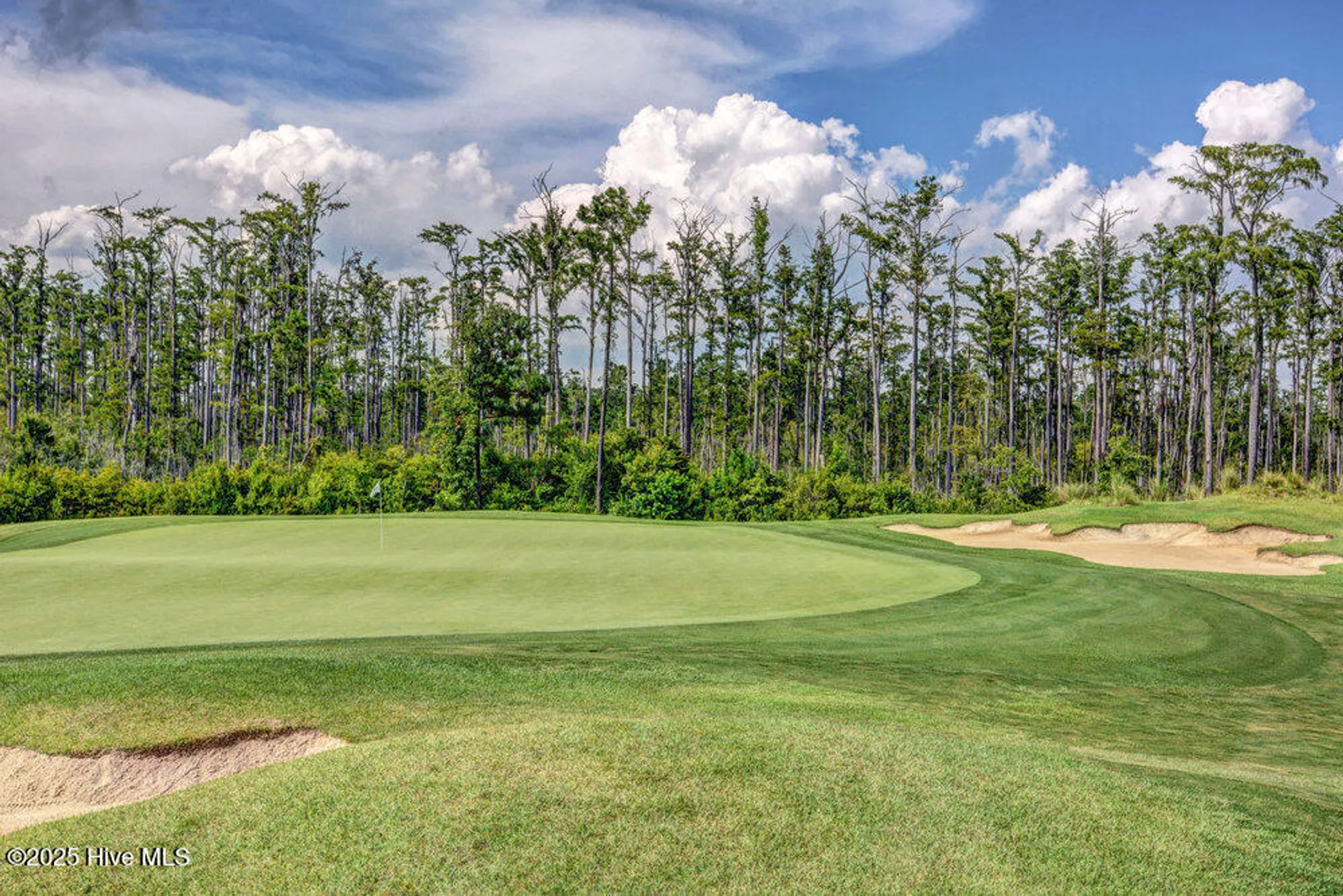 Property Slideshow image 30 of 64 | 1229 clendon cir, Leland, NC, 28451