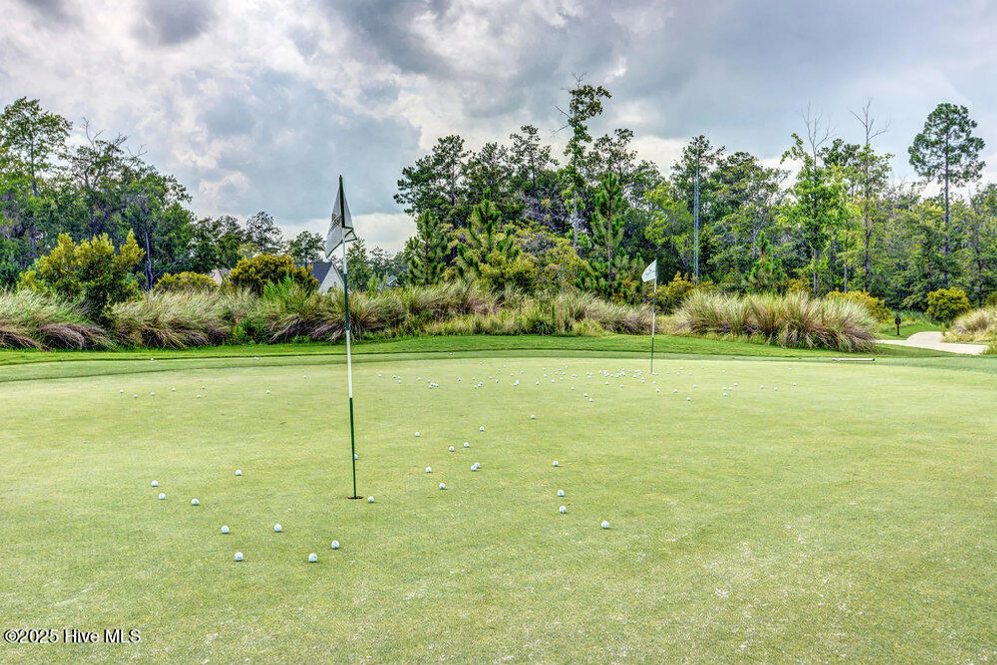 Property Slideshow image 32 of 64 | 1229 clendon cir, Leland, NC, 28451