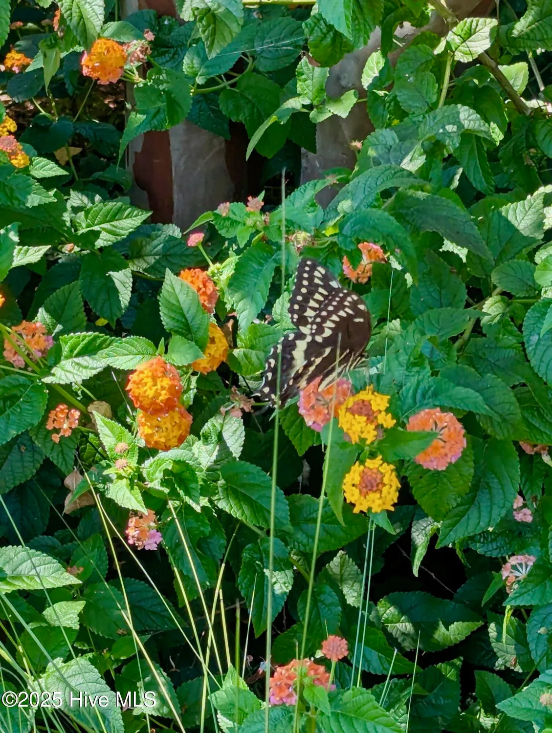 Property Slideshow image 53 of 79 | 2437 meridian rd, Leland, NC, 28451