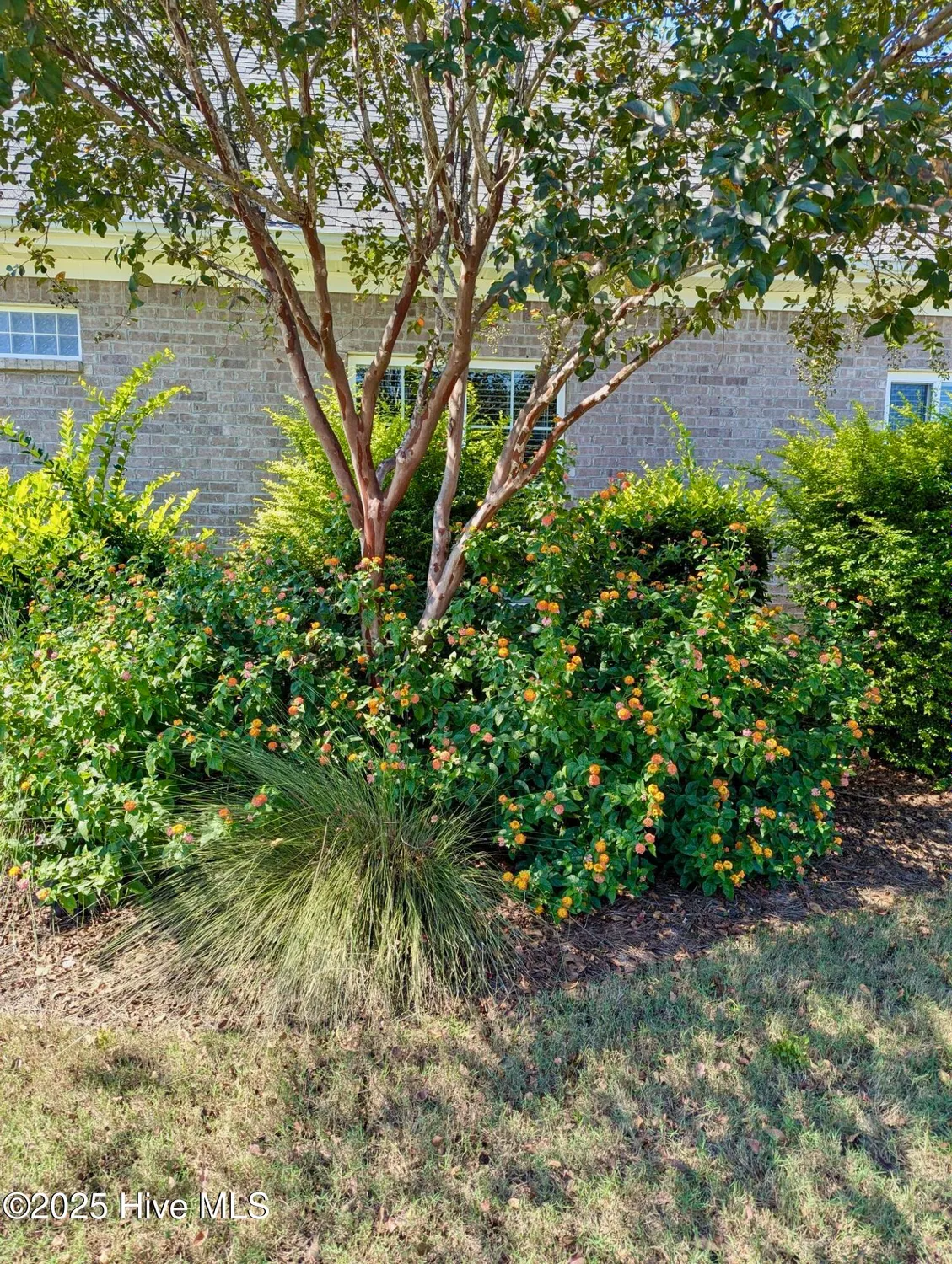 Property Slideshow image 52 of 79 | 2437 meridian rd, Leland, NC, 28451