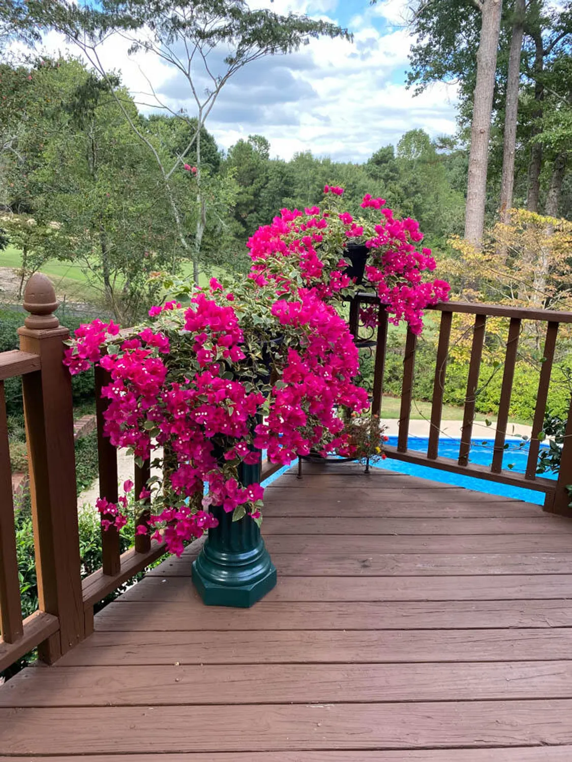 Property Slideshow image 59 of 74 | 313 live oak rd, Aiken, SC, 29803