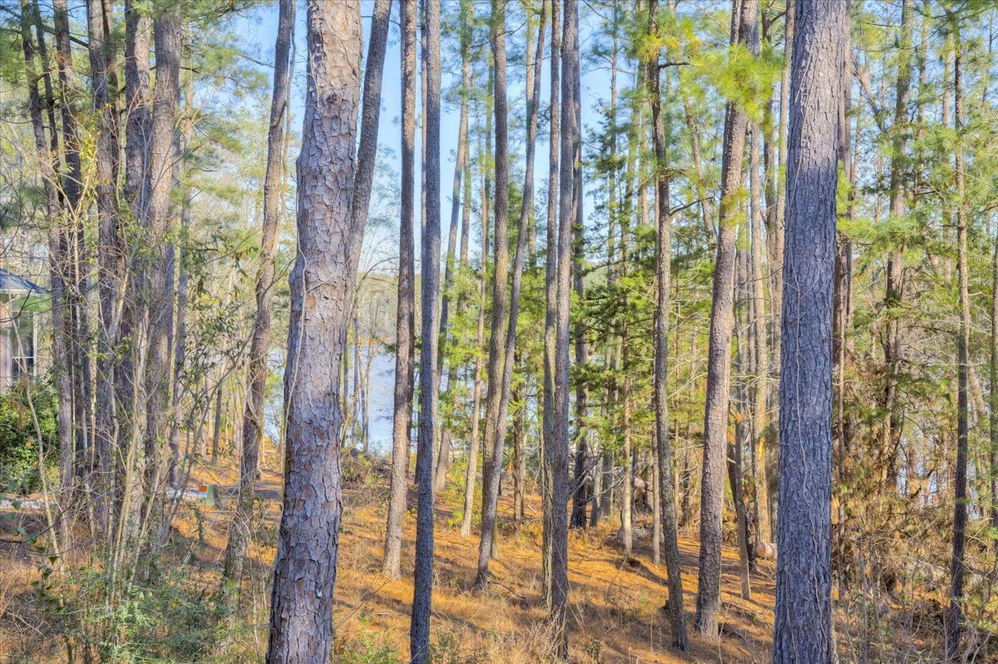 Property Slideshow image 39 of 40 | 305 kingfisher pt, Mc Cormick, SC, 29835