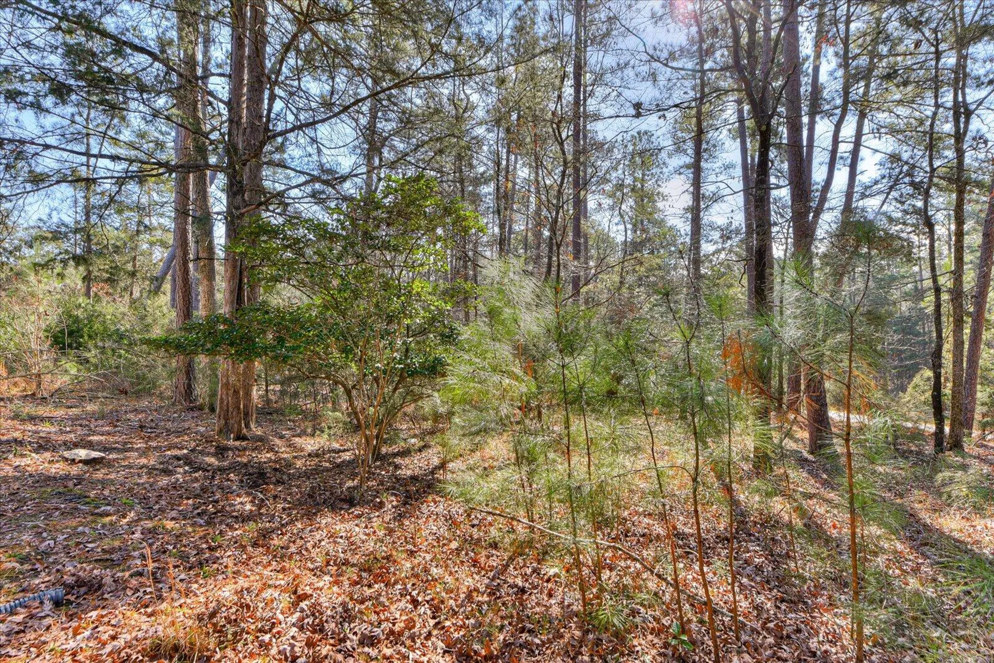 Property Slideshow image 32 of 32 | 109 driftwood ln, Mc Cormick, SC, 29835