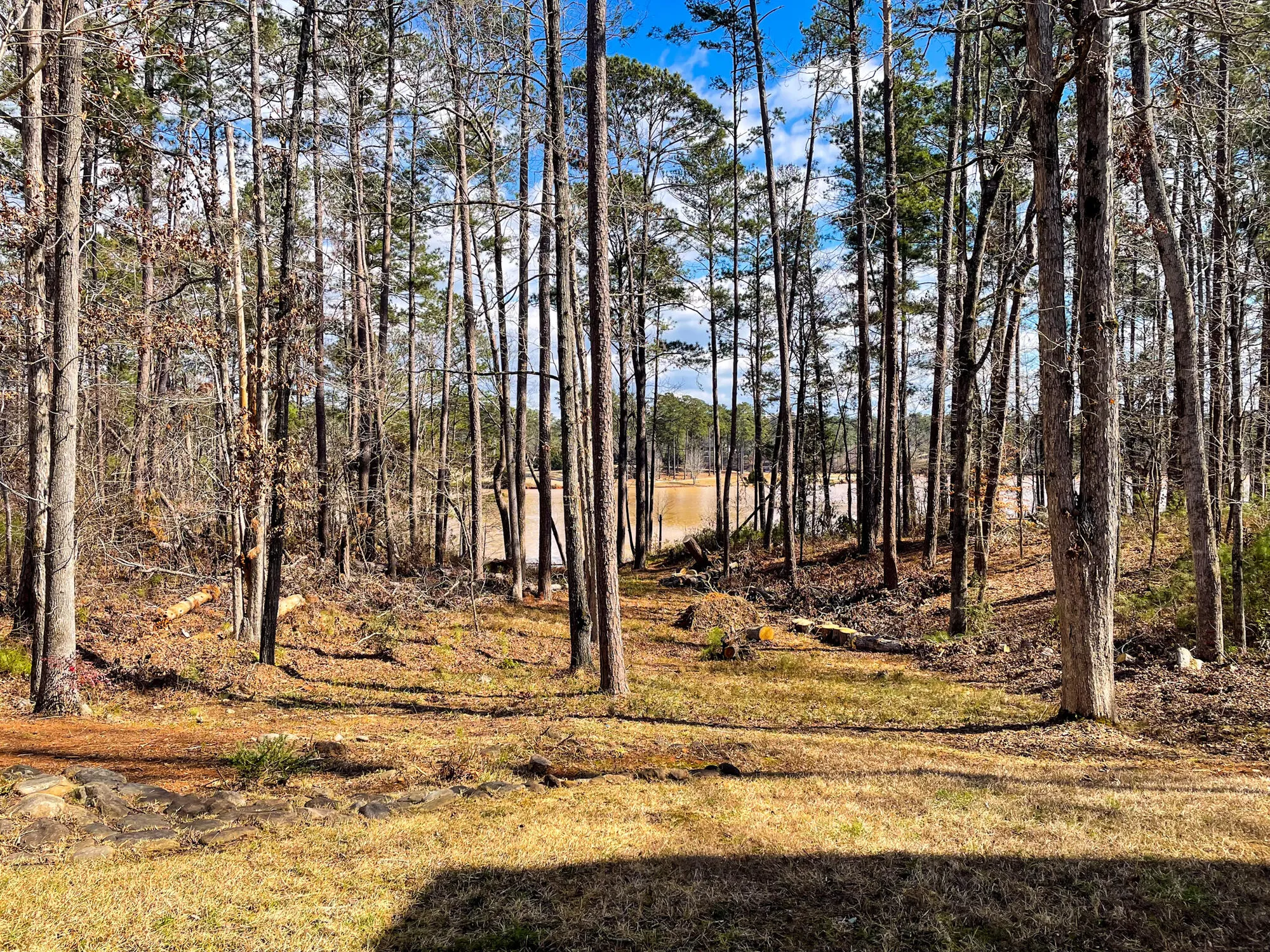 Property Slideshow image 54 of 56 | 154 bereau dr, Mc Cormick, SC, 29835