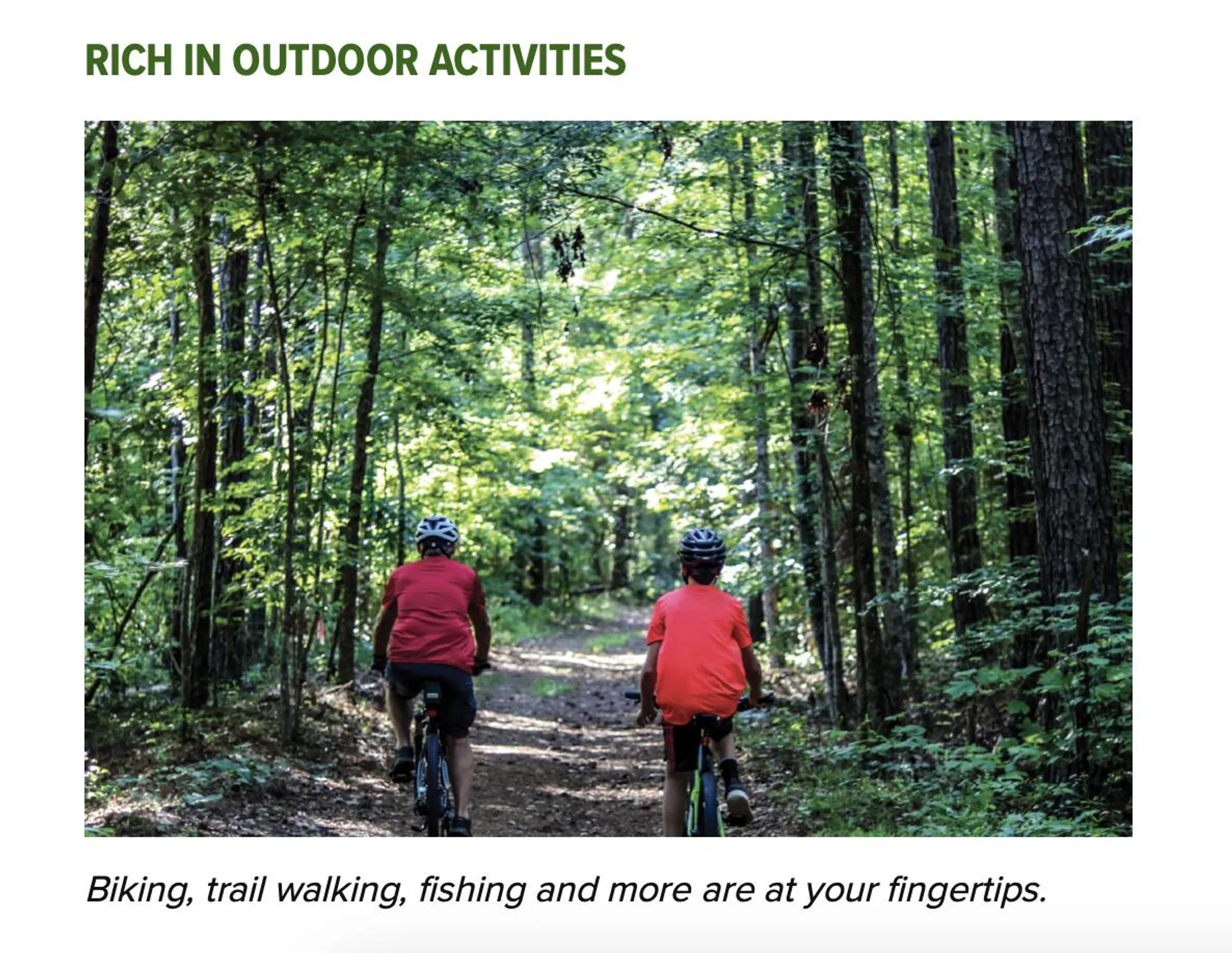 Property Slideshow image 37 of 37 | 219 fairway dr, Mc Cormick, SC, 29835